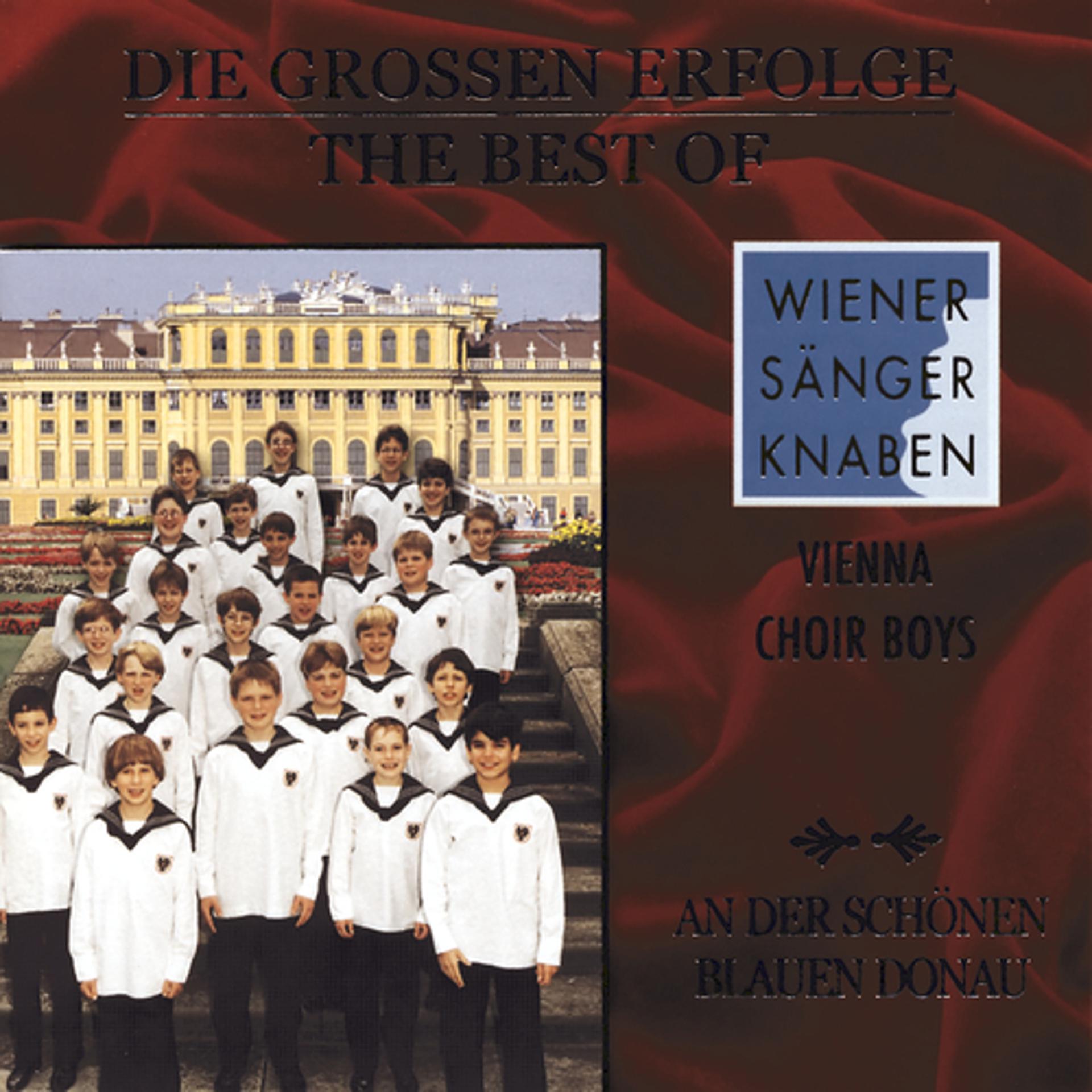 Постер альбома Die großen Erfolge