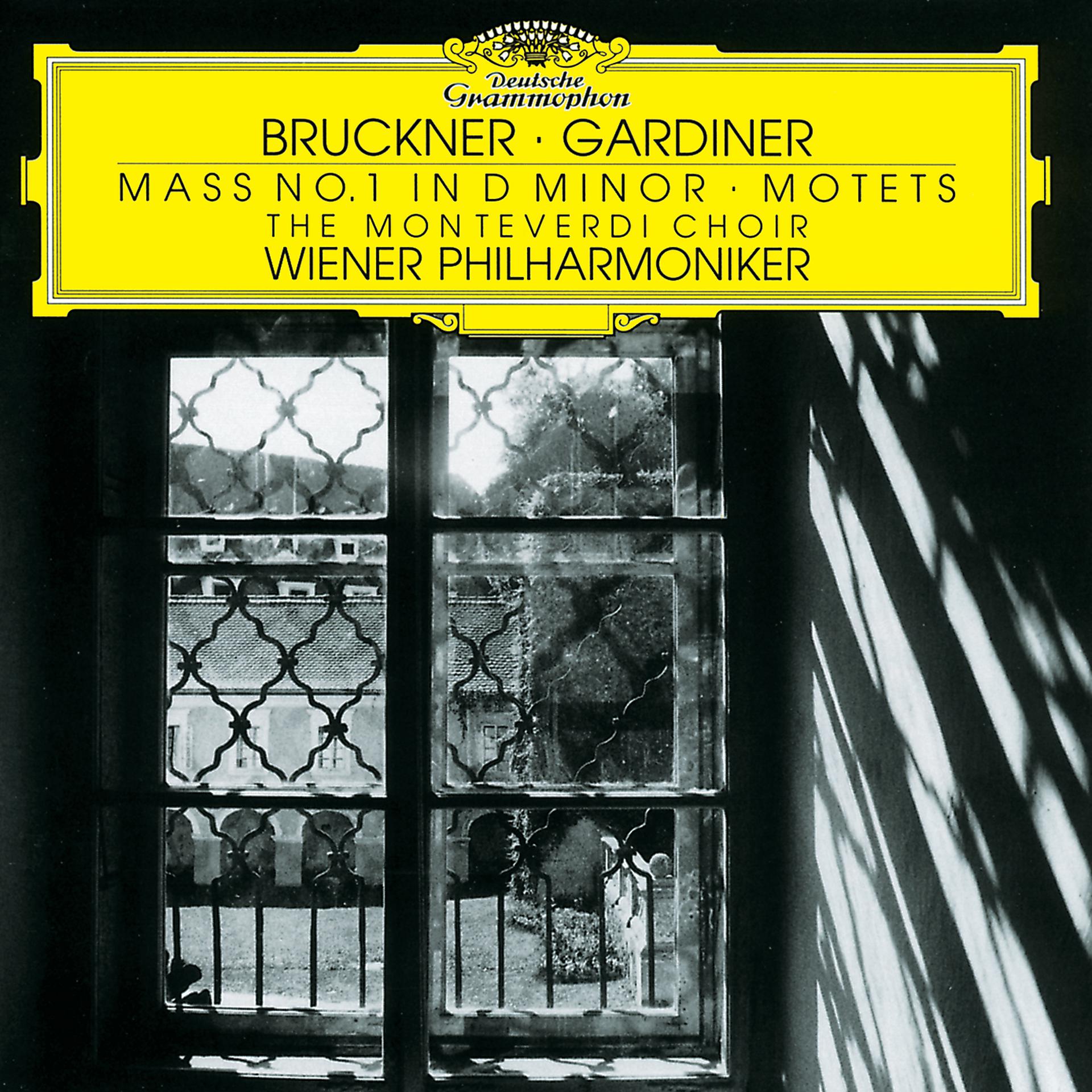 Постер альбома Bruckner: Mass in D minor; Motets