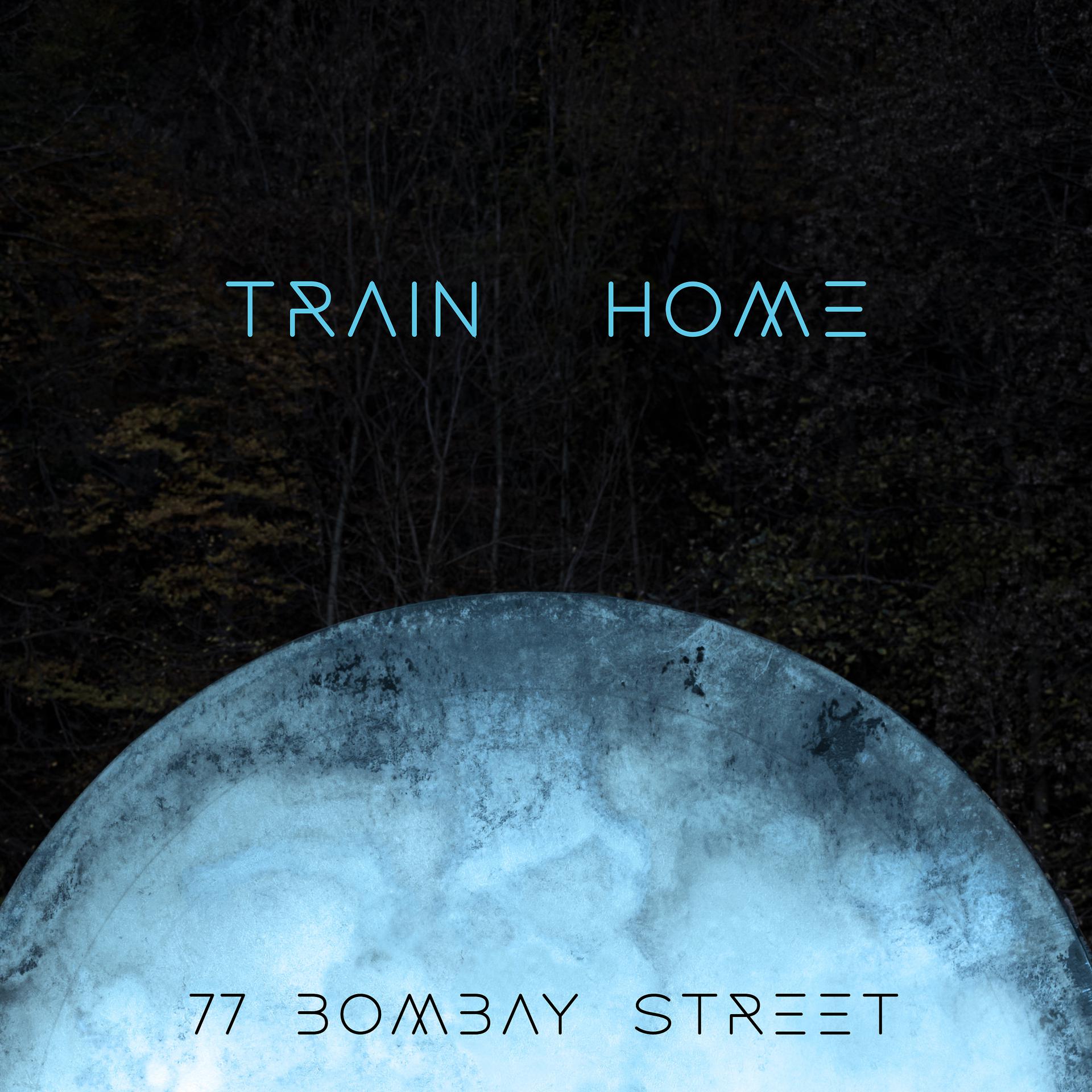 Постер альбома Train Home