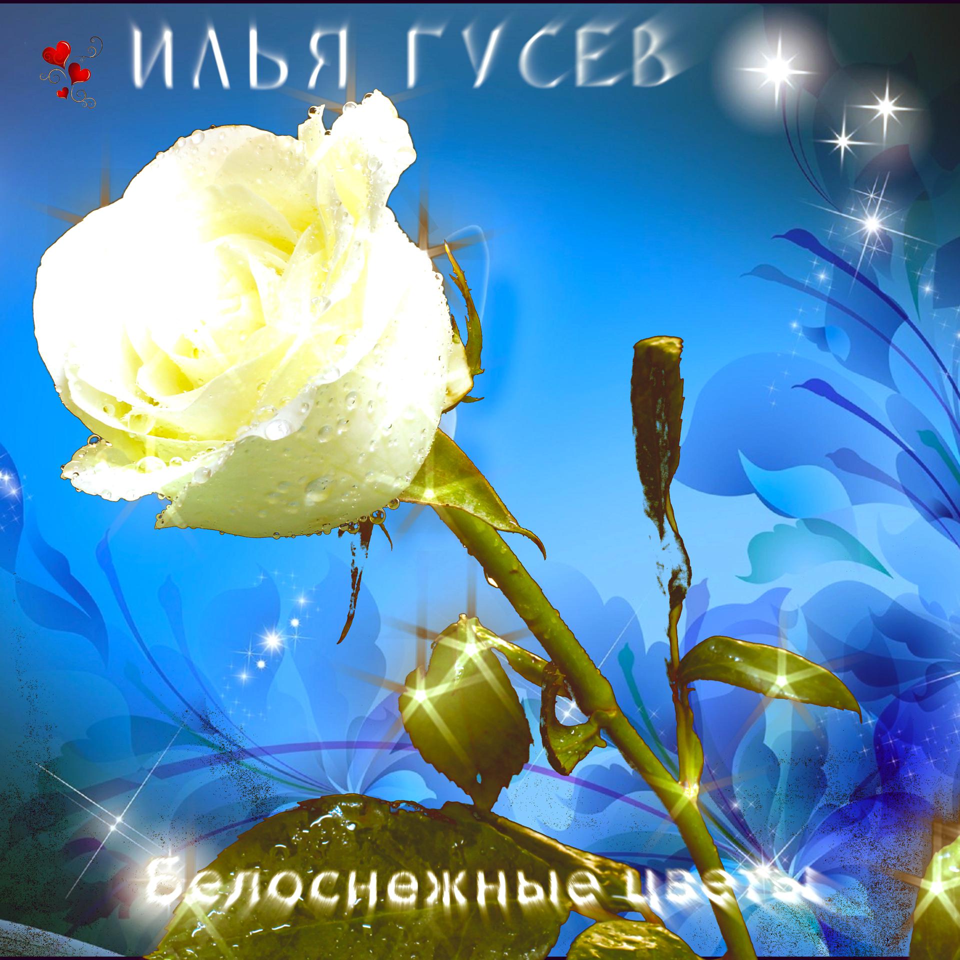 Постер альбома Белоснежные цветы