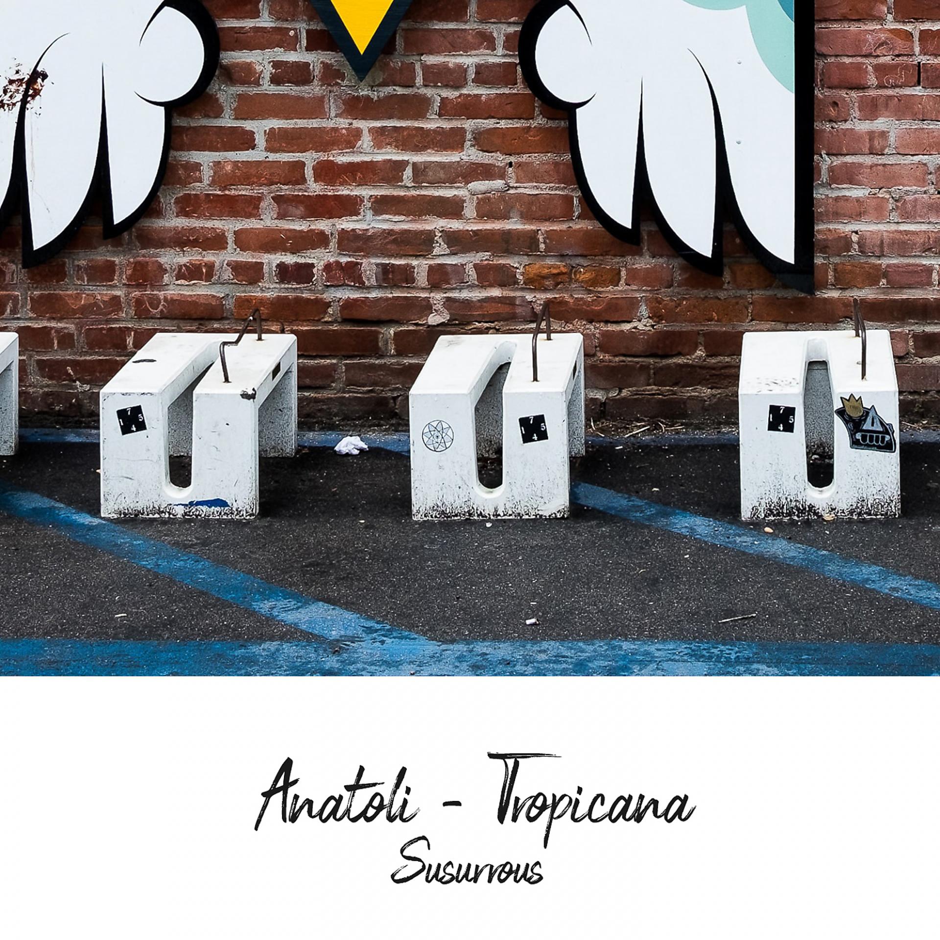 Постер альбома Tropicana