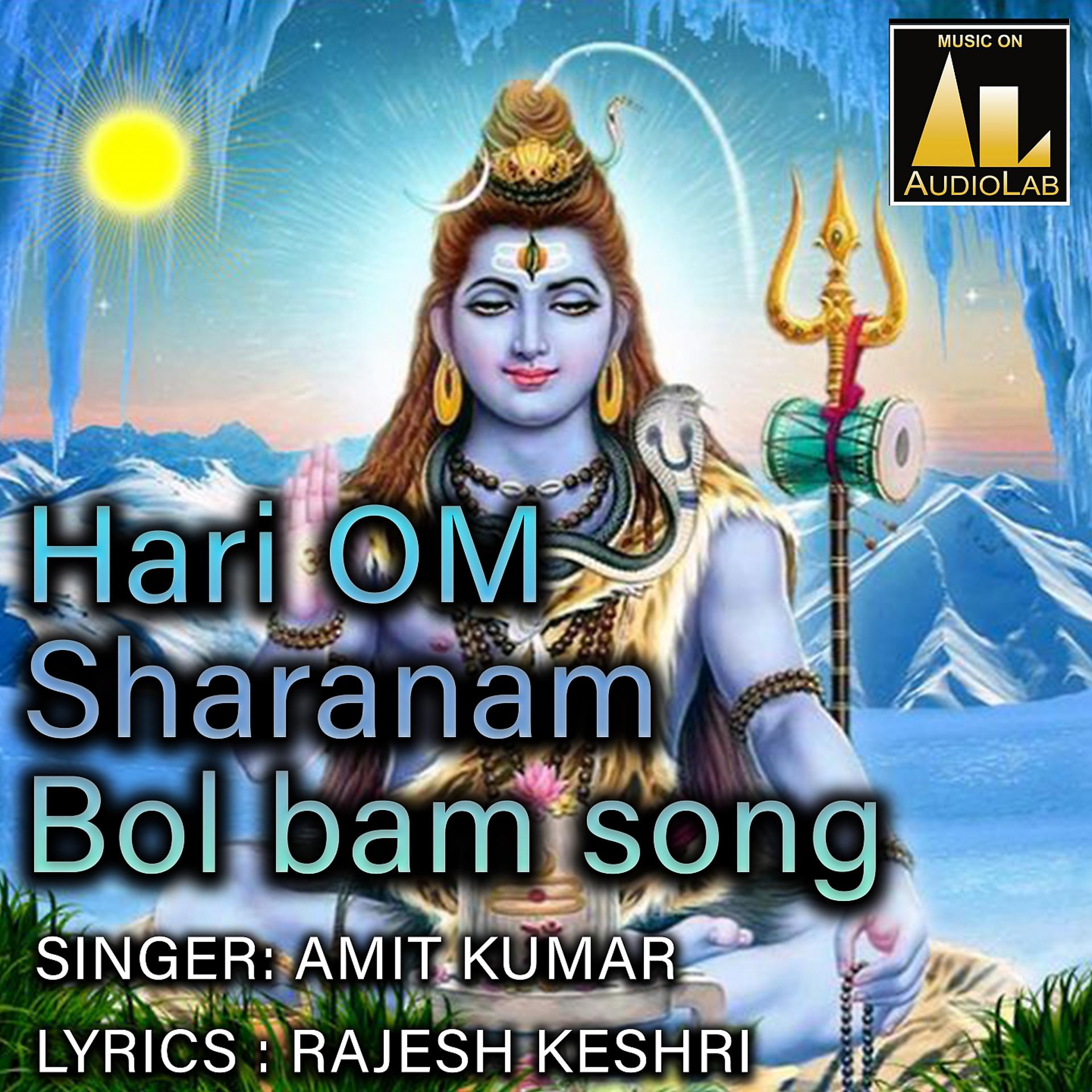 Постер альбома Hari Om Sharanam Bol Bam Song