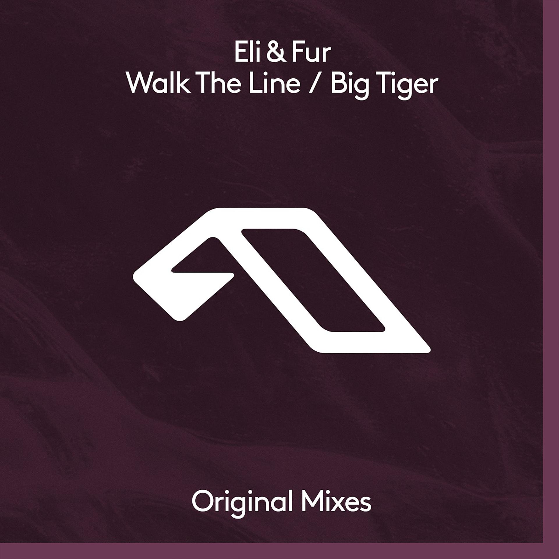 Постер альбома Walk The Line / Big Tiger