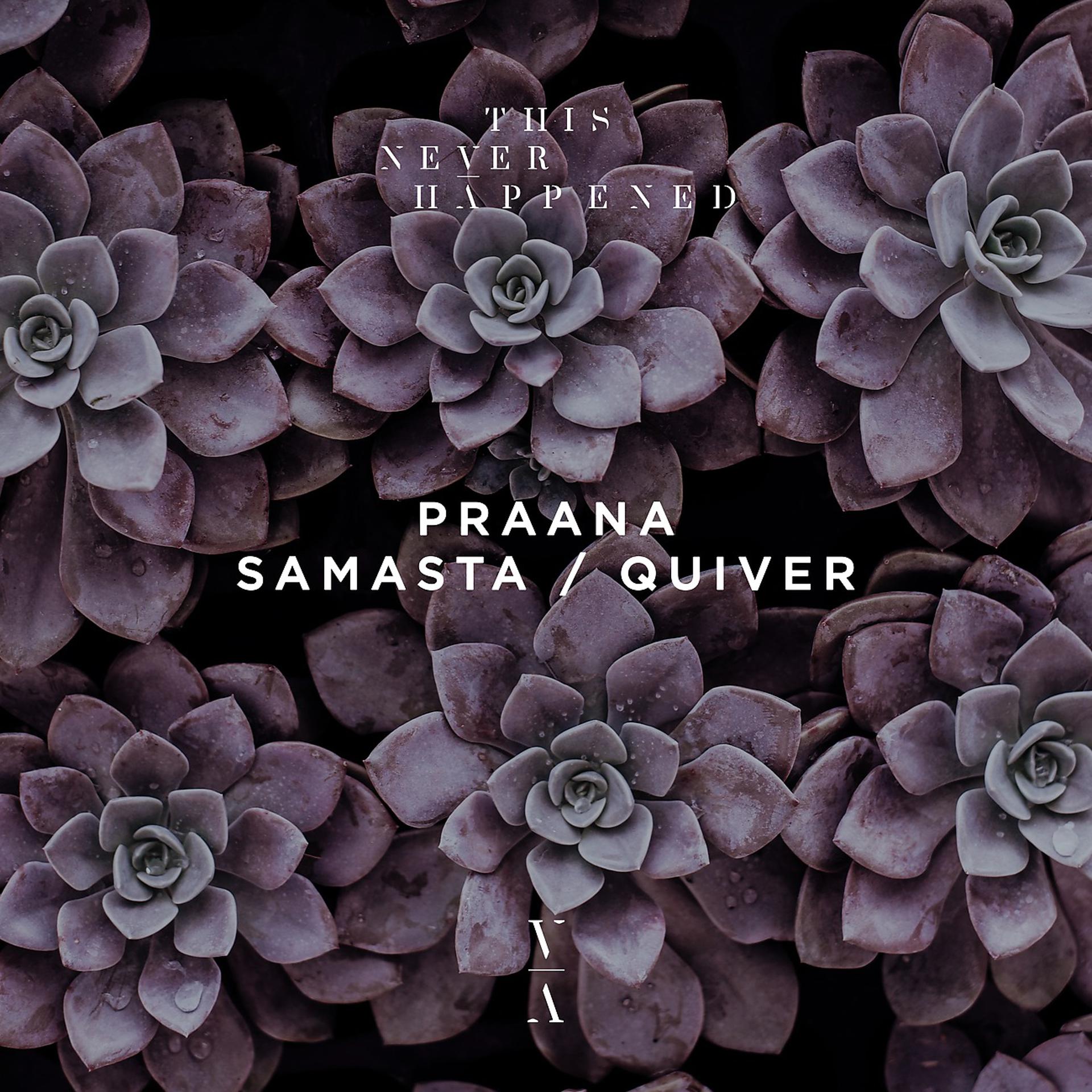 Постер альбома Samasta / Quiver
