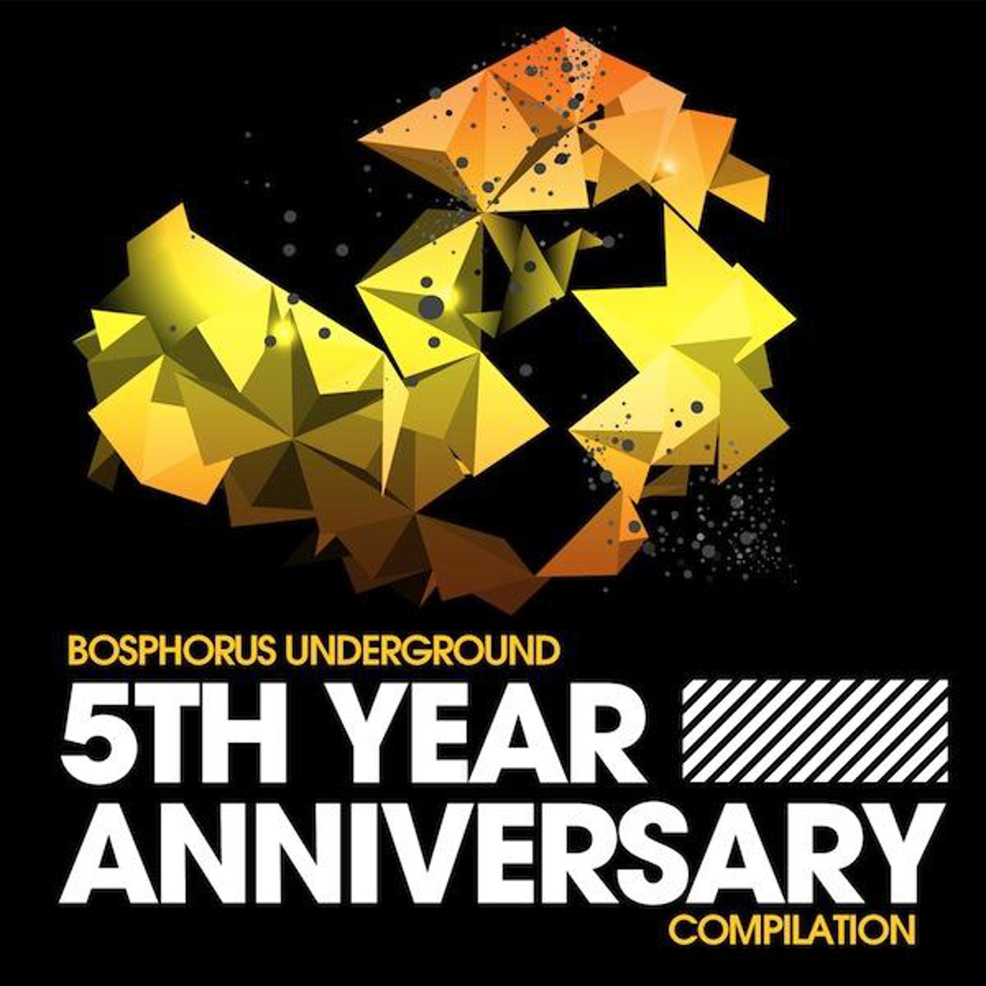 Постер альбома Bosphorus Underground 5th Year Anniversary
