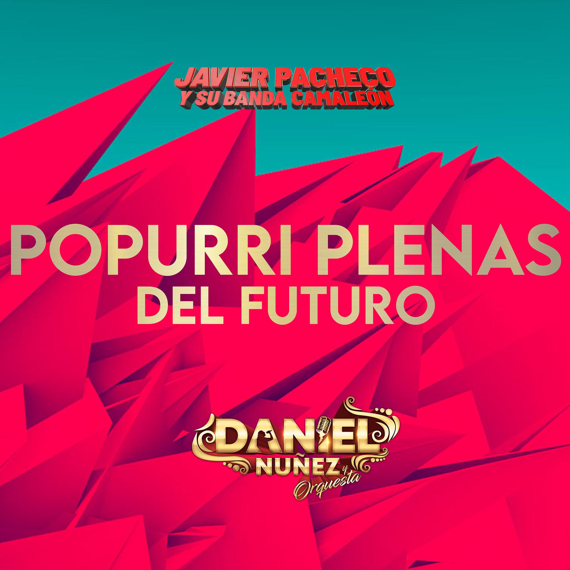 Постер альбома Popurri Plenas del Futuro