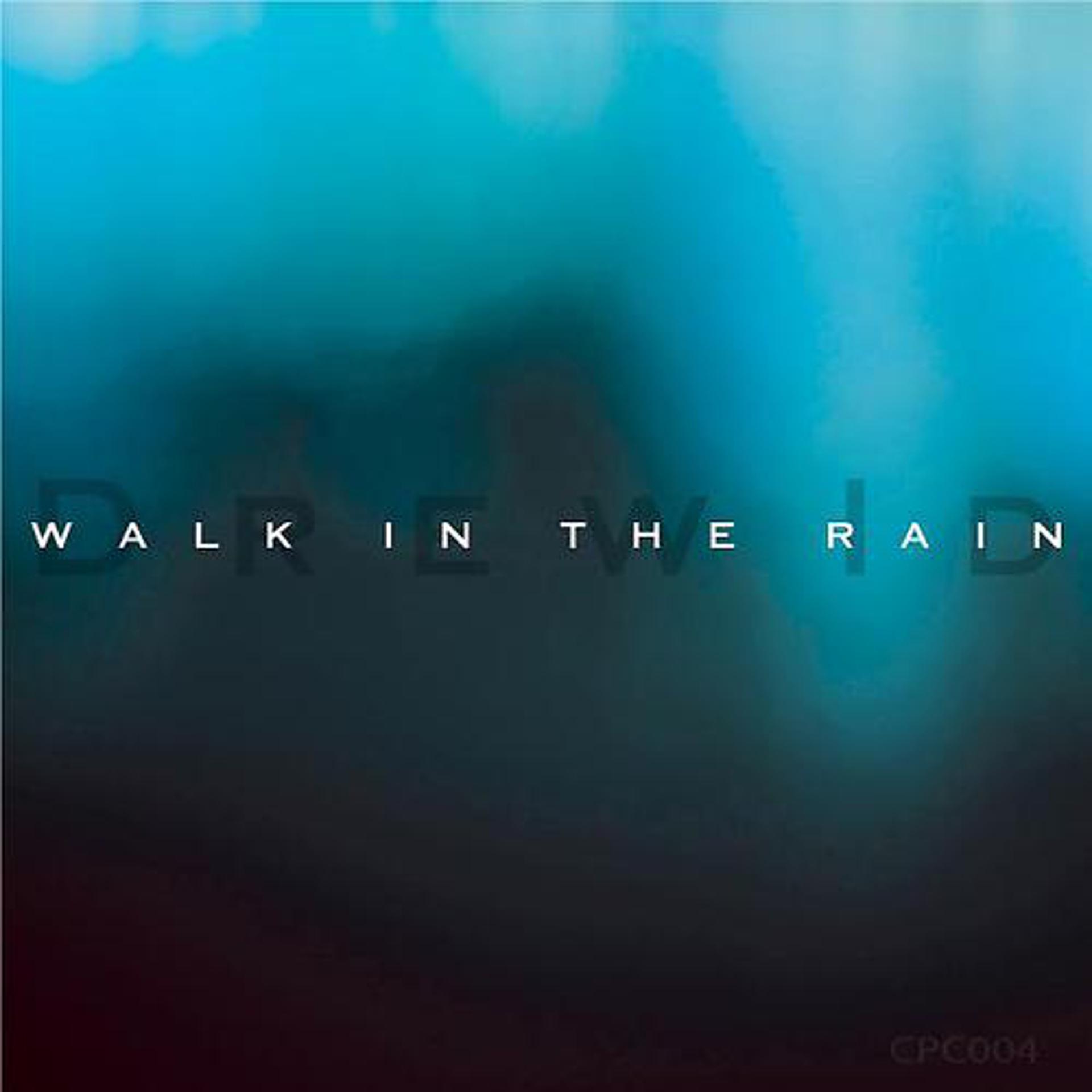 Постер альбома Walk In The Rain