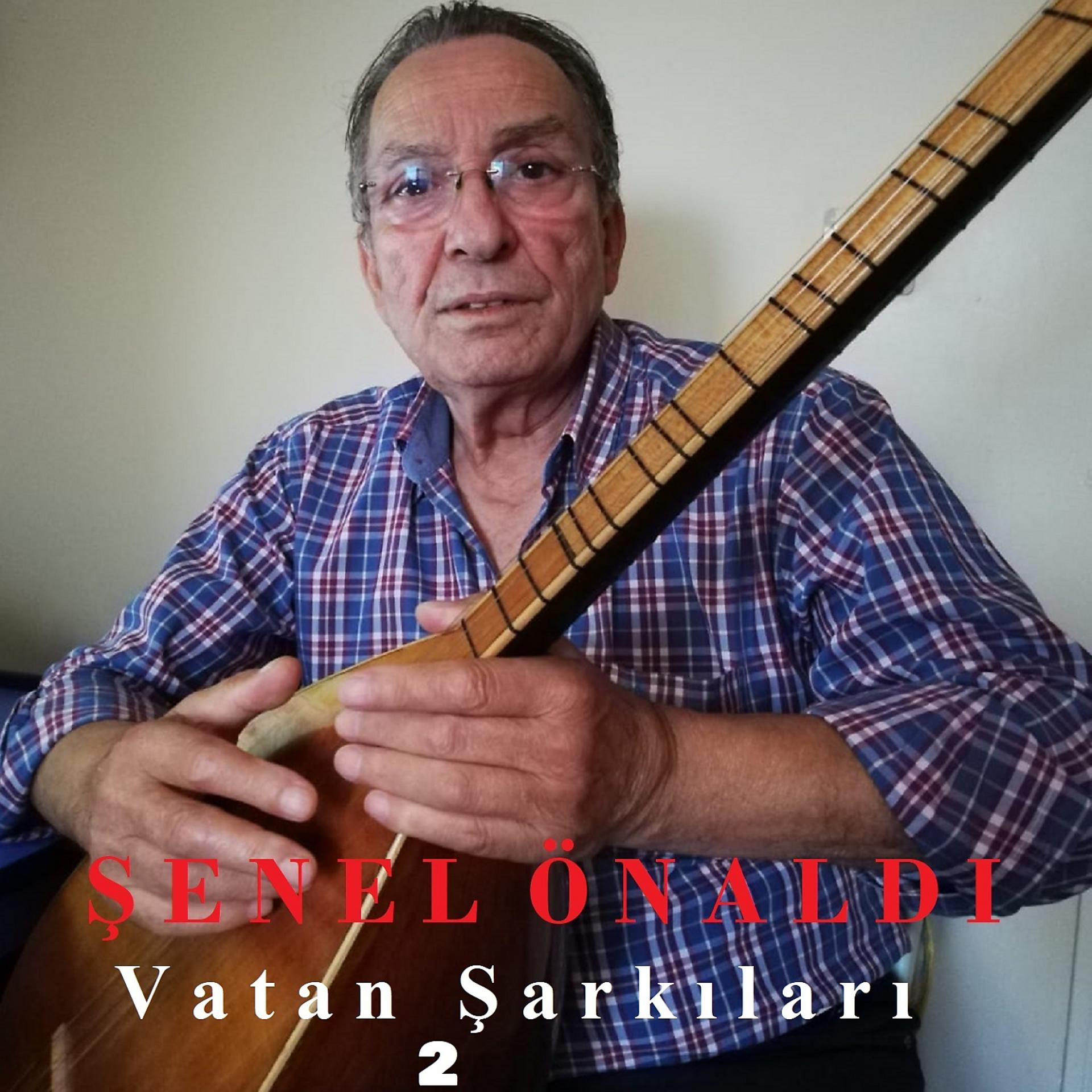 Постер альбома Vatan Şarkıları, Vol. 2