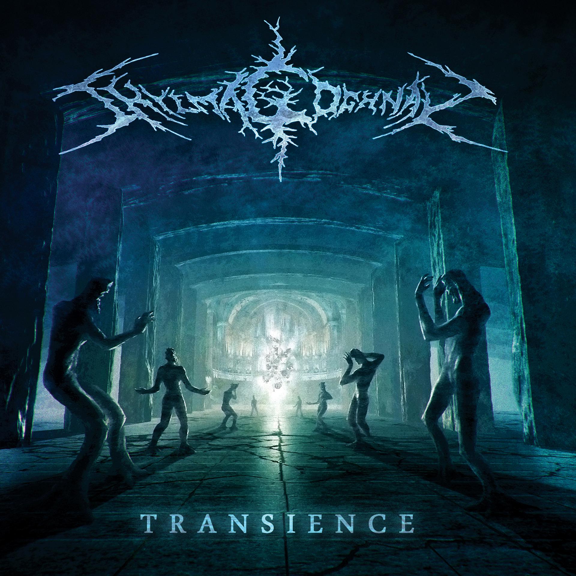 Постер альбома Transience