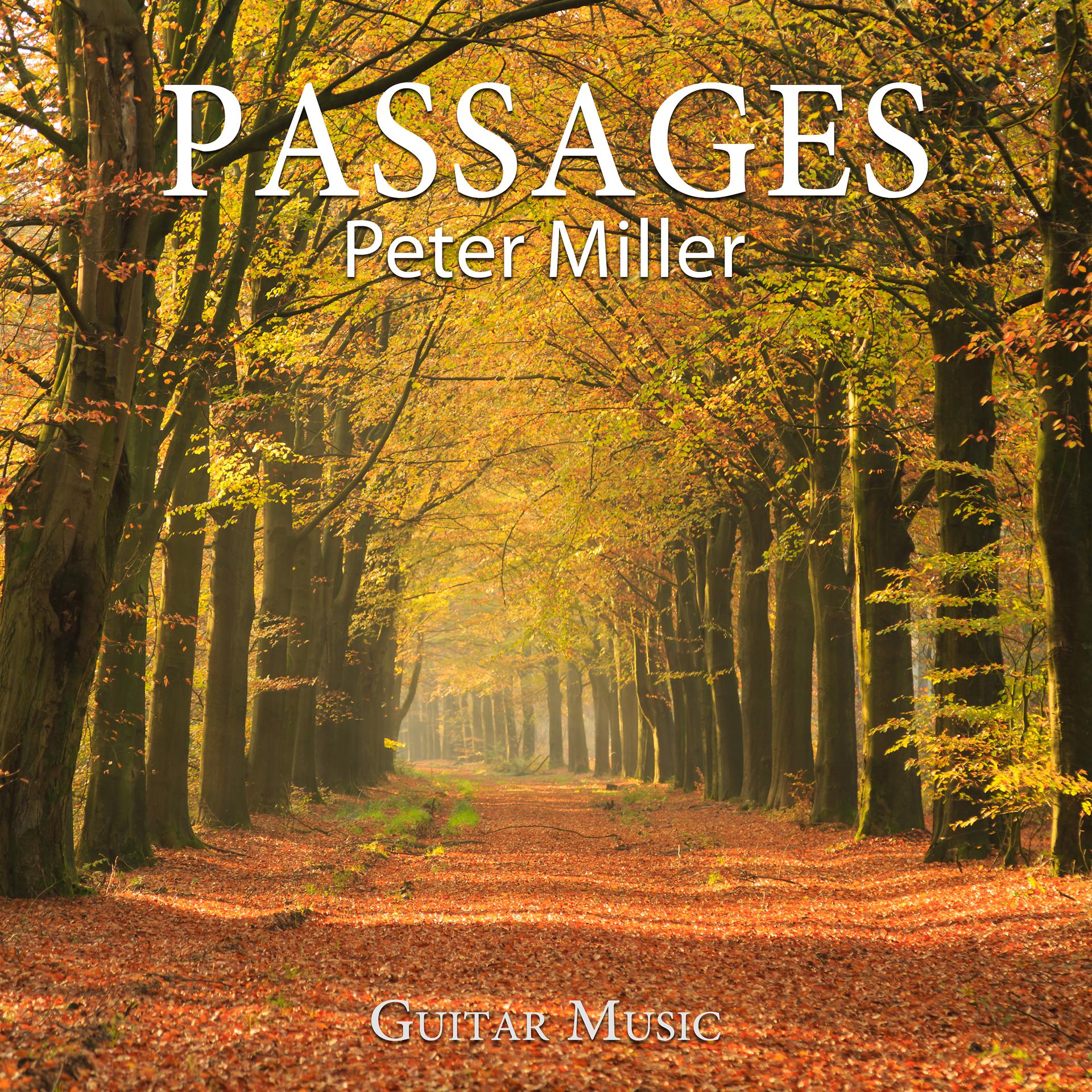 Постер альбома Passages