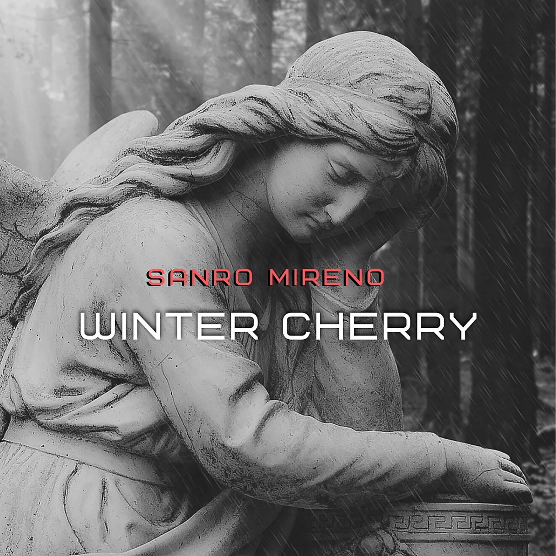 Постер альбома Winter Cherry