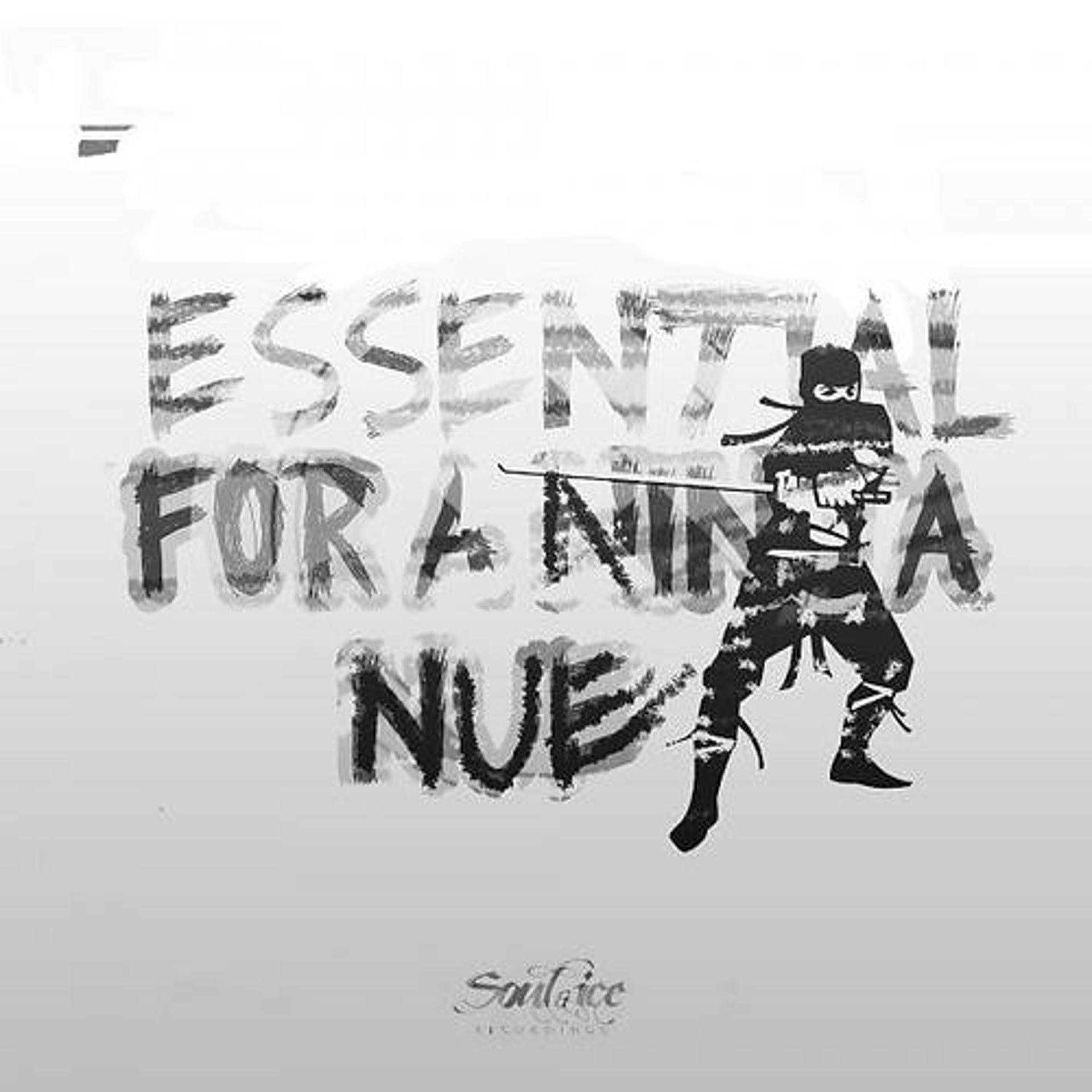 Постер альбома Essential For A Ninja LP