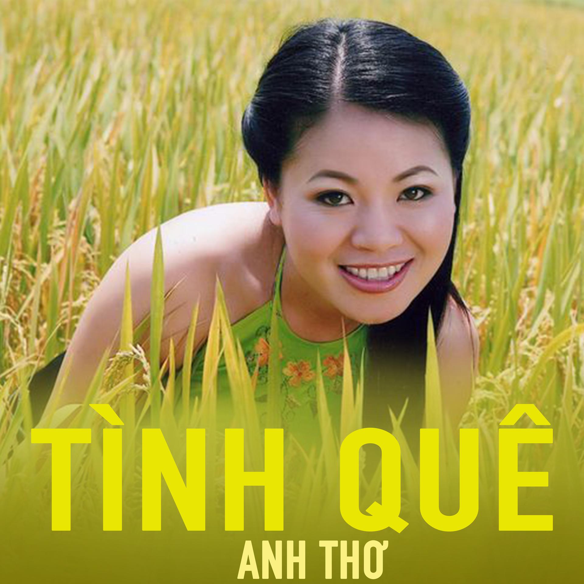 Постер альбома Tình Quê