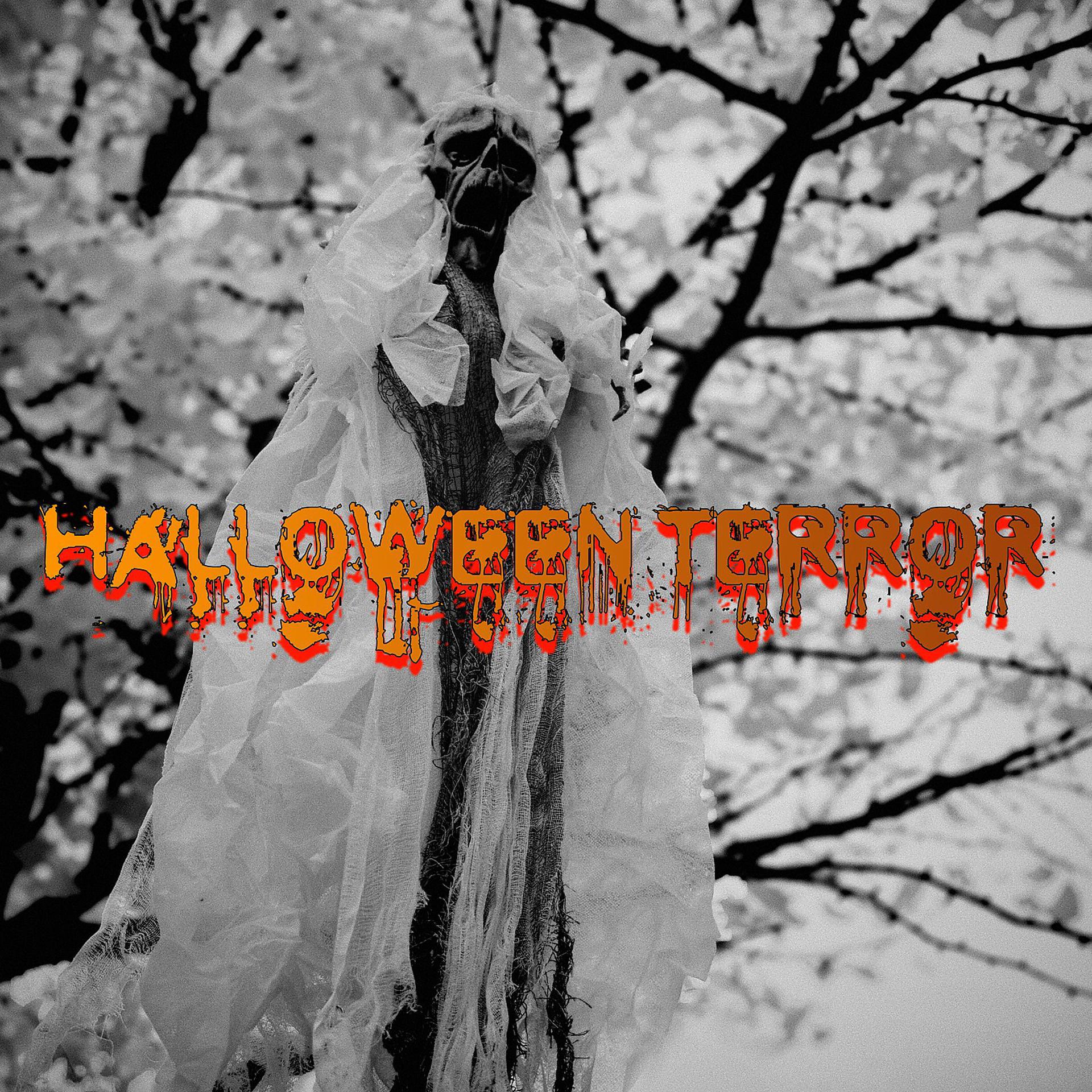 Постер альбома Halloween Terror