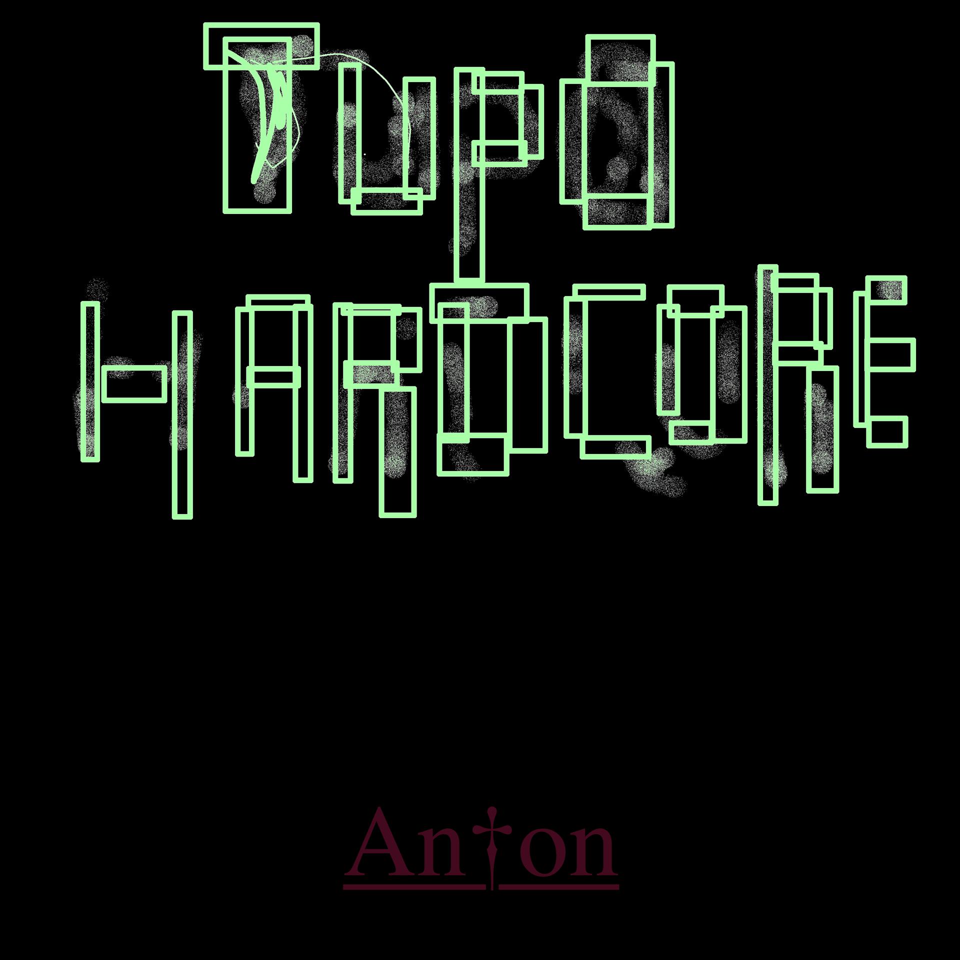 Постер альбома Tupo Hardcore