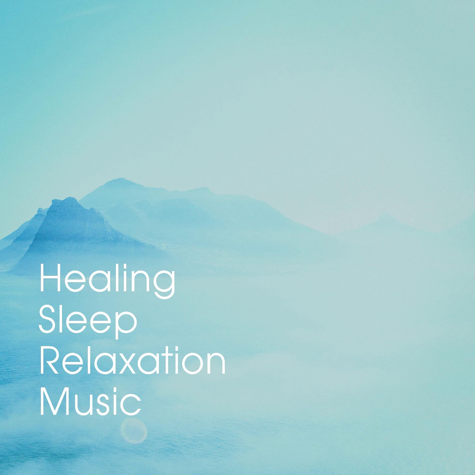 Постер альбома Healing Sleep Relaxation Music