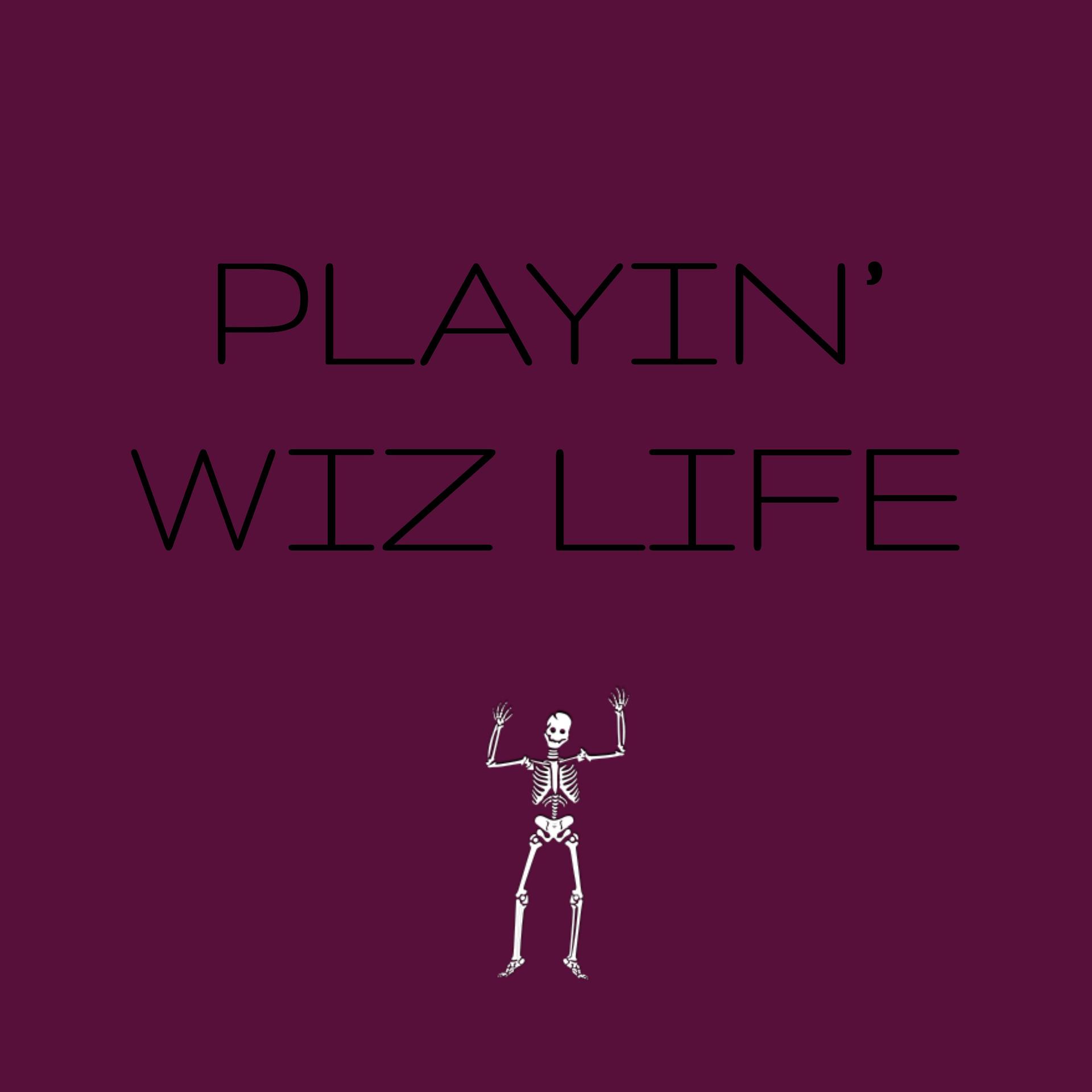 Постер альбома Playin' Wiz Life