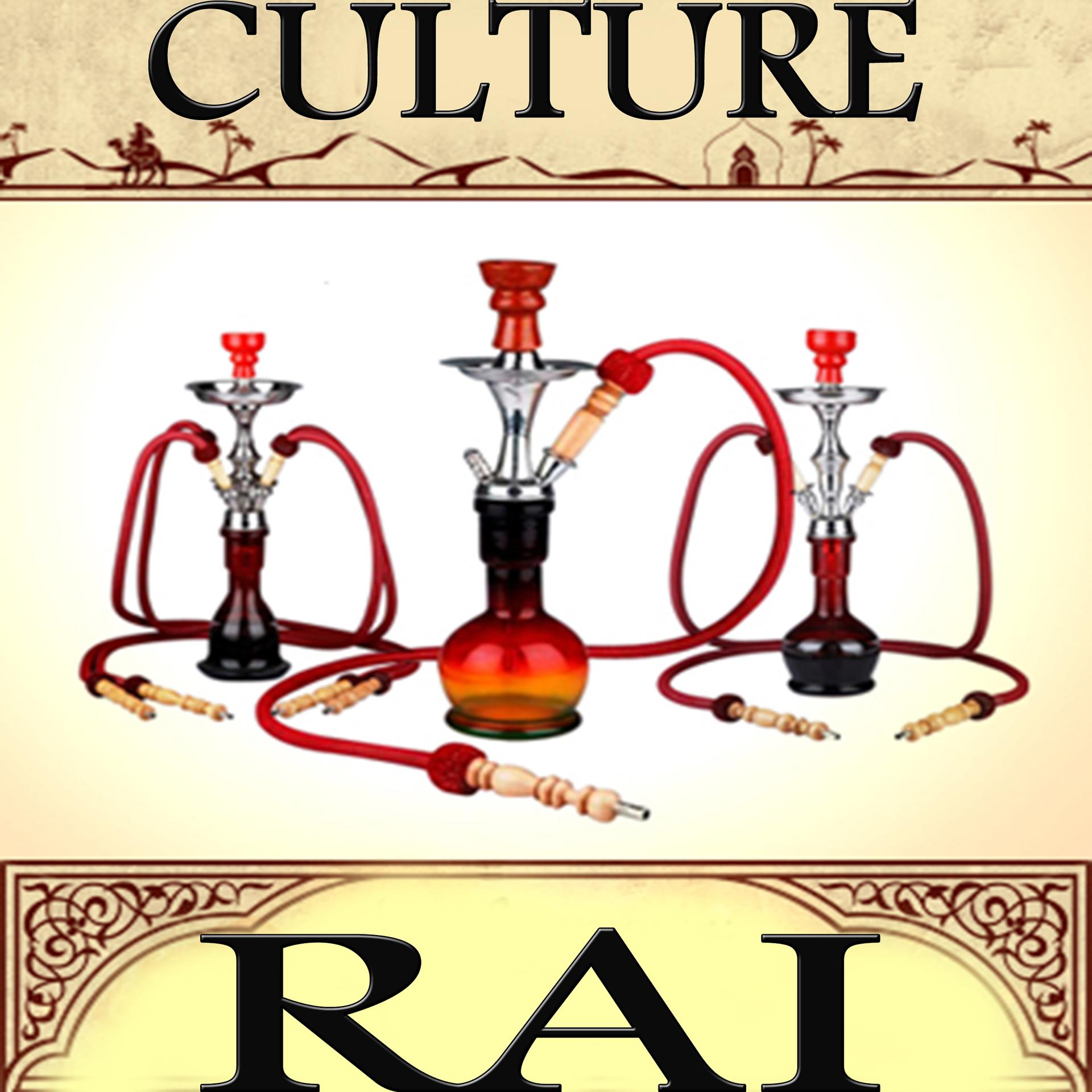 Постер альбома Culture Raï