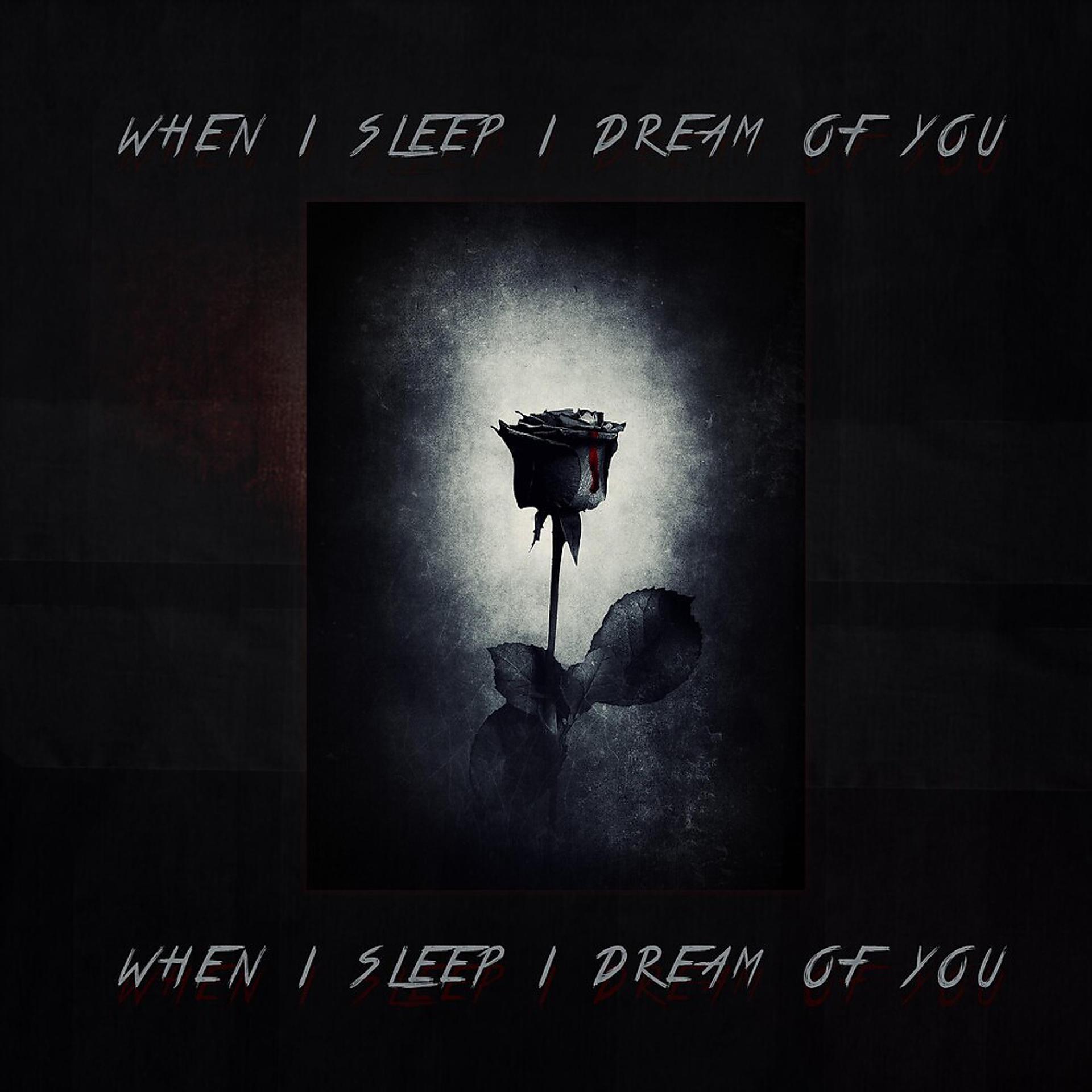 Постер альбома when I sleep I dream of you