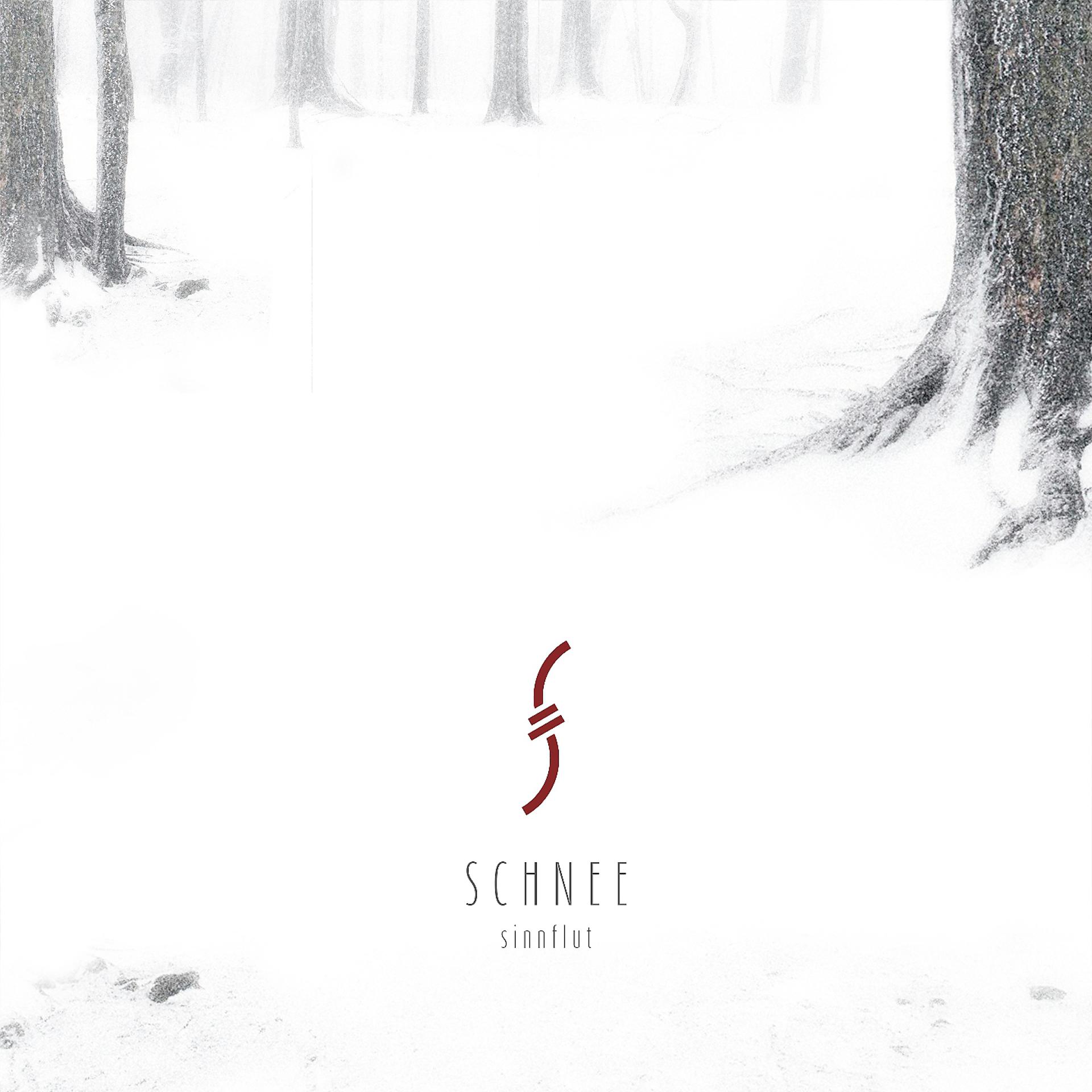 Постер альбома Schnee