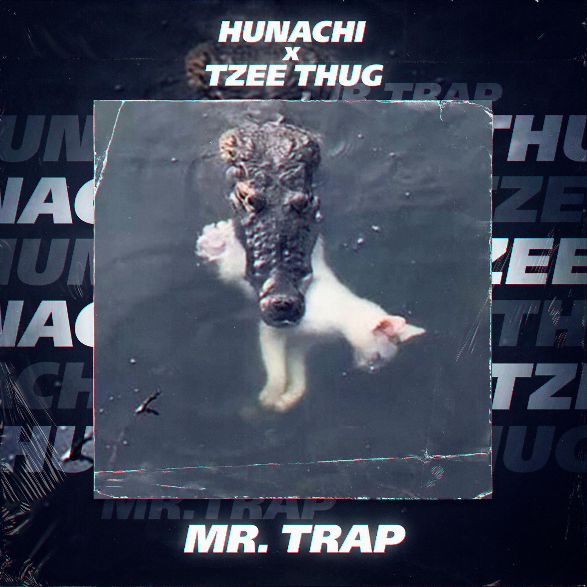 Постер альбома Mr Trap