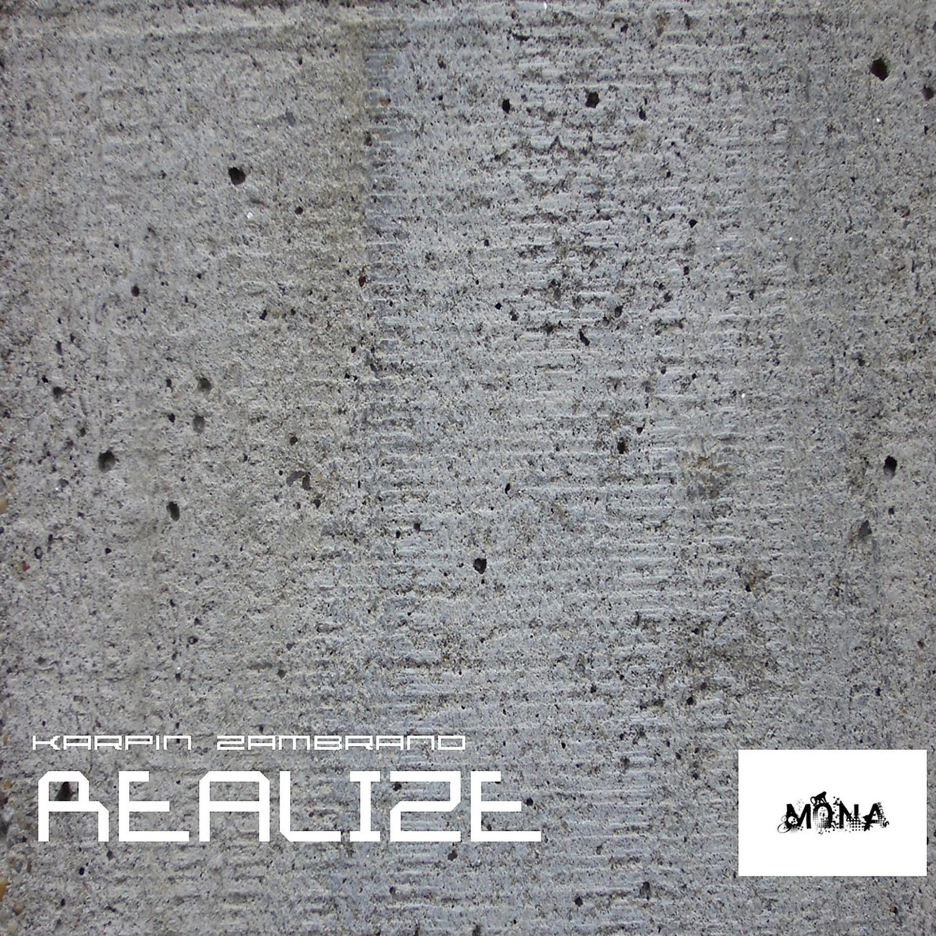 Постер альбома Karpin - Realize