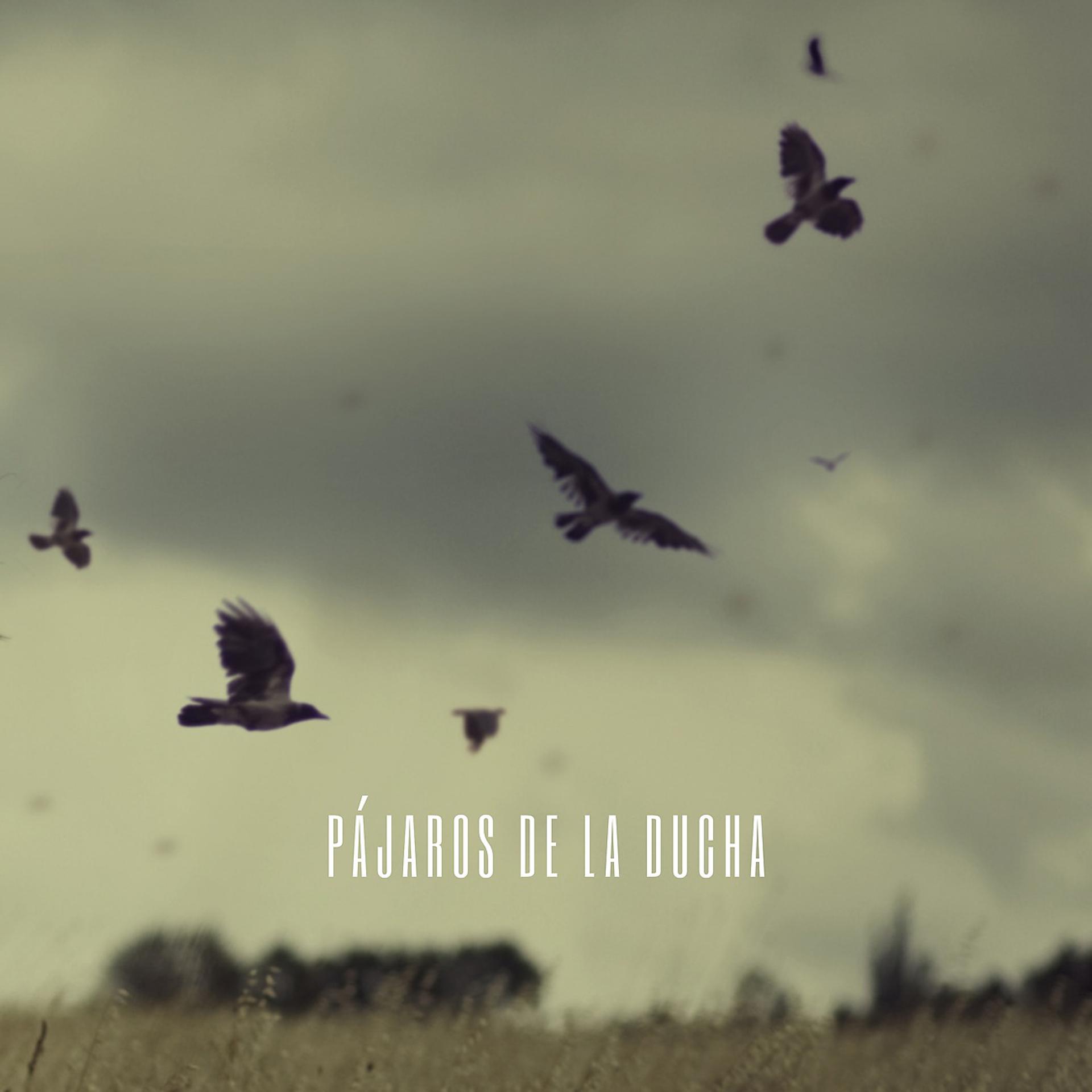Постер альбома Pájaros De La Ducha