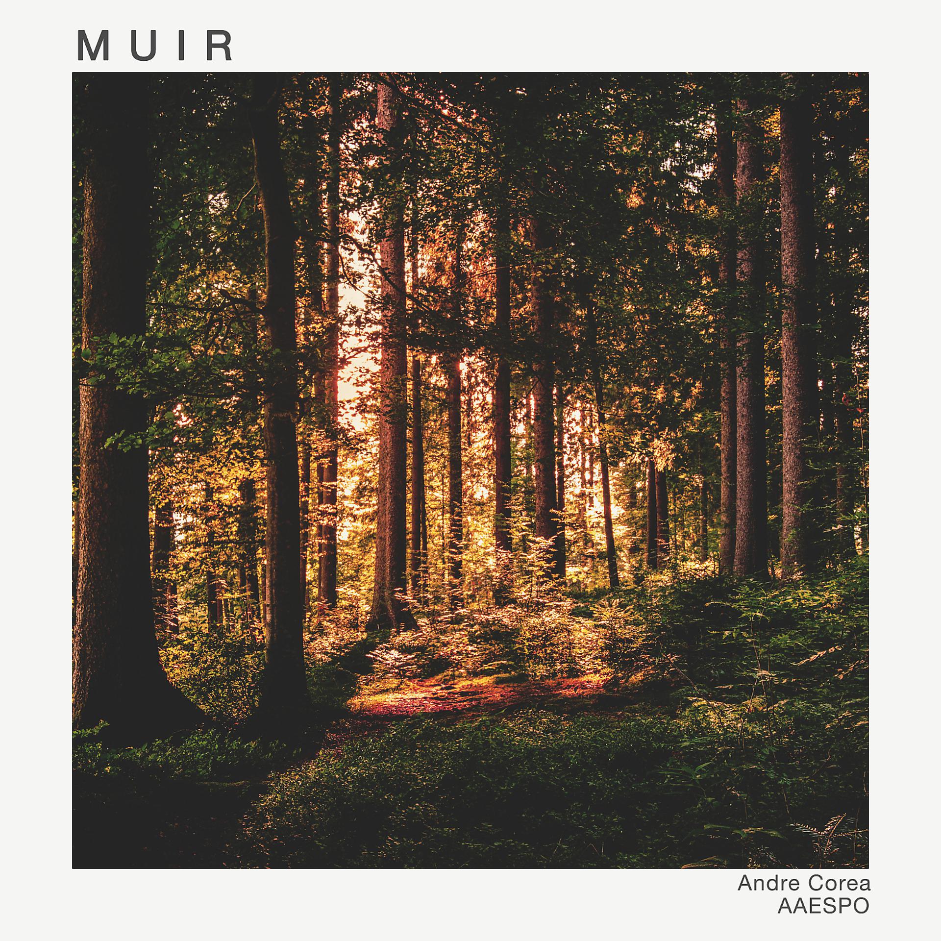 Постер альбома Muir