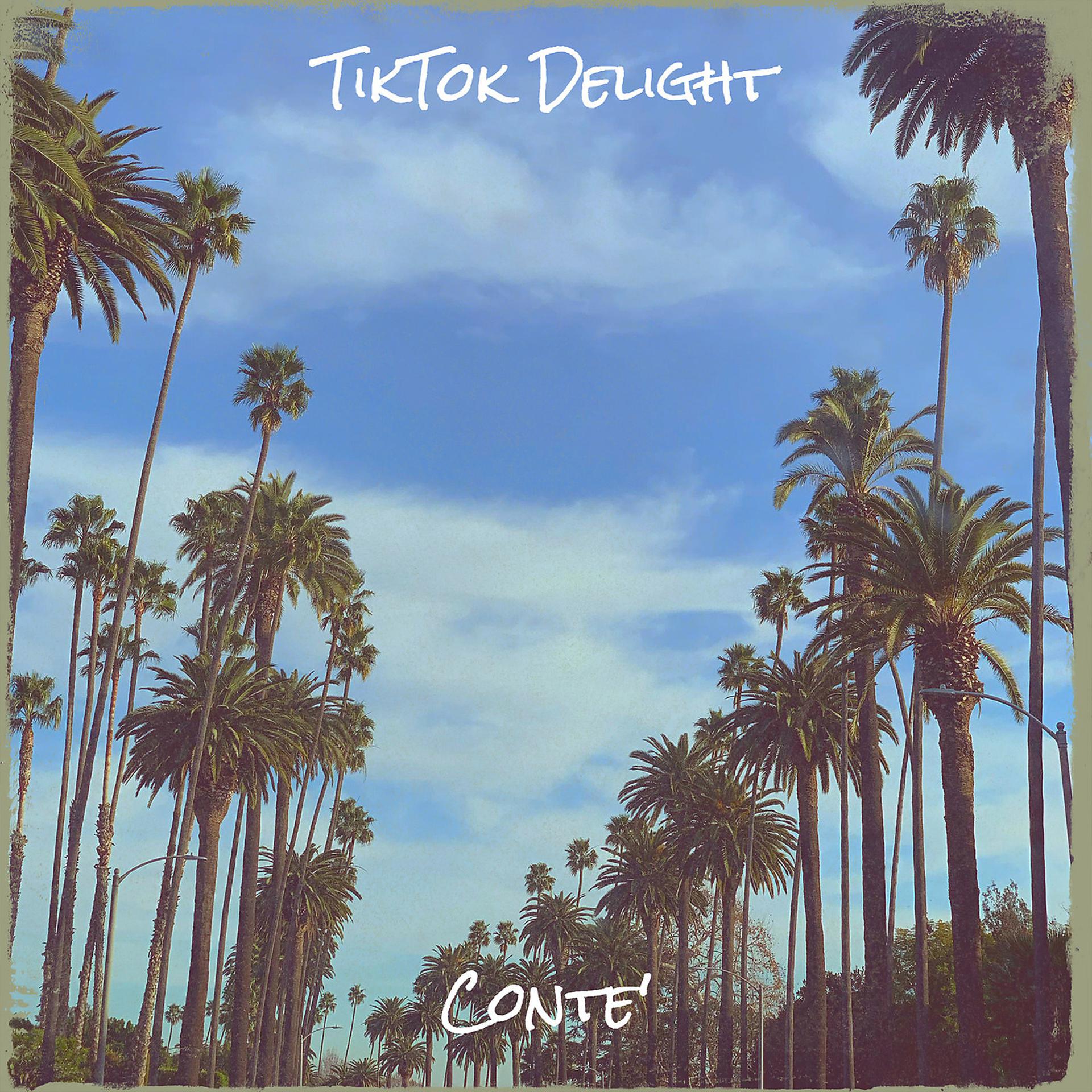 Постер альбома TikTok Delight