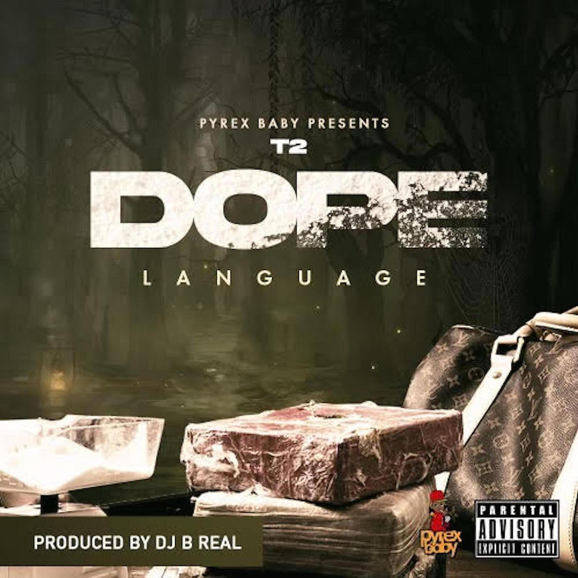 Постер альбома Dope Language
