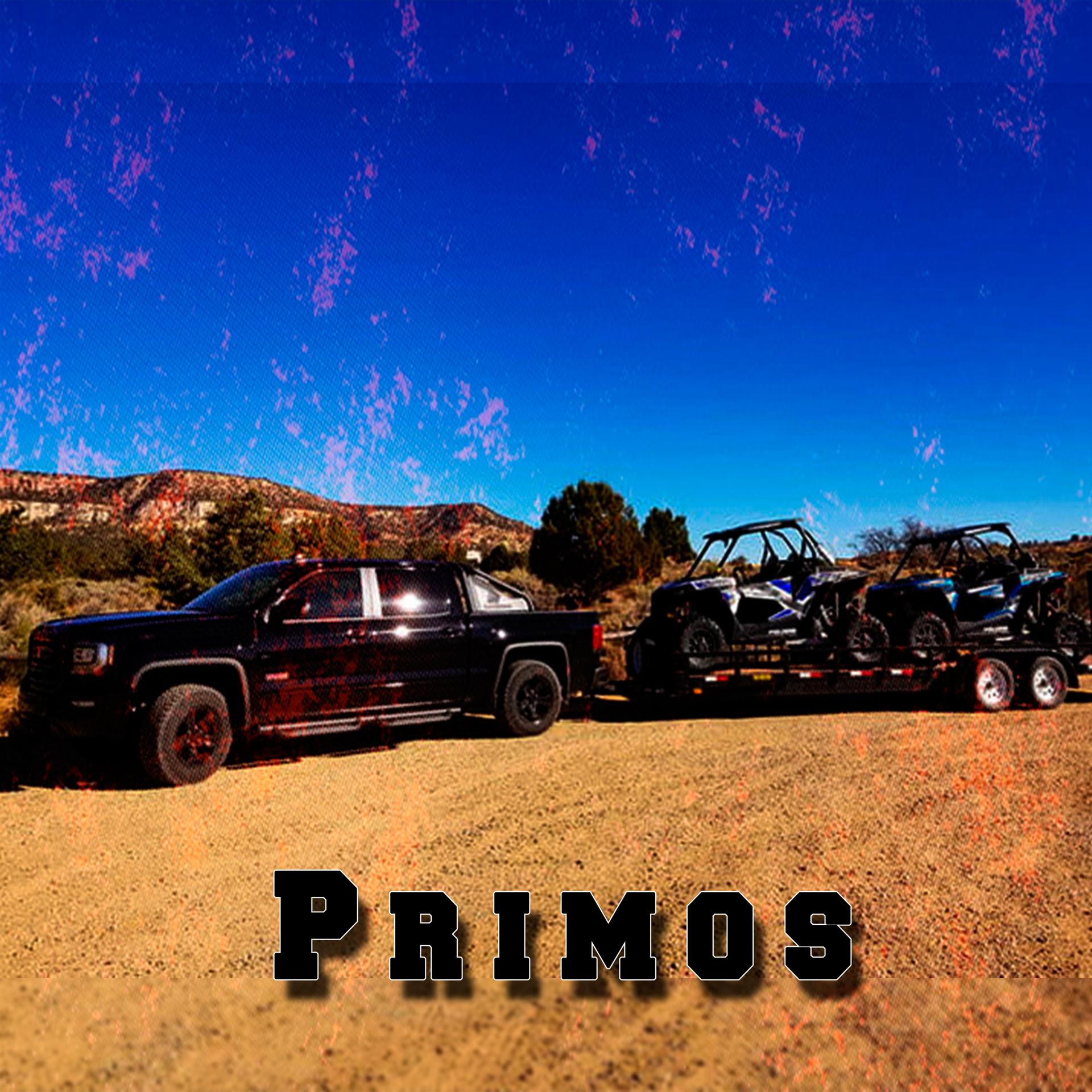 Постер альбома Primos