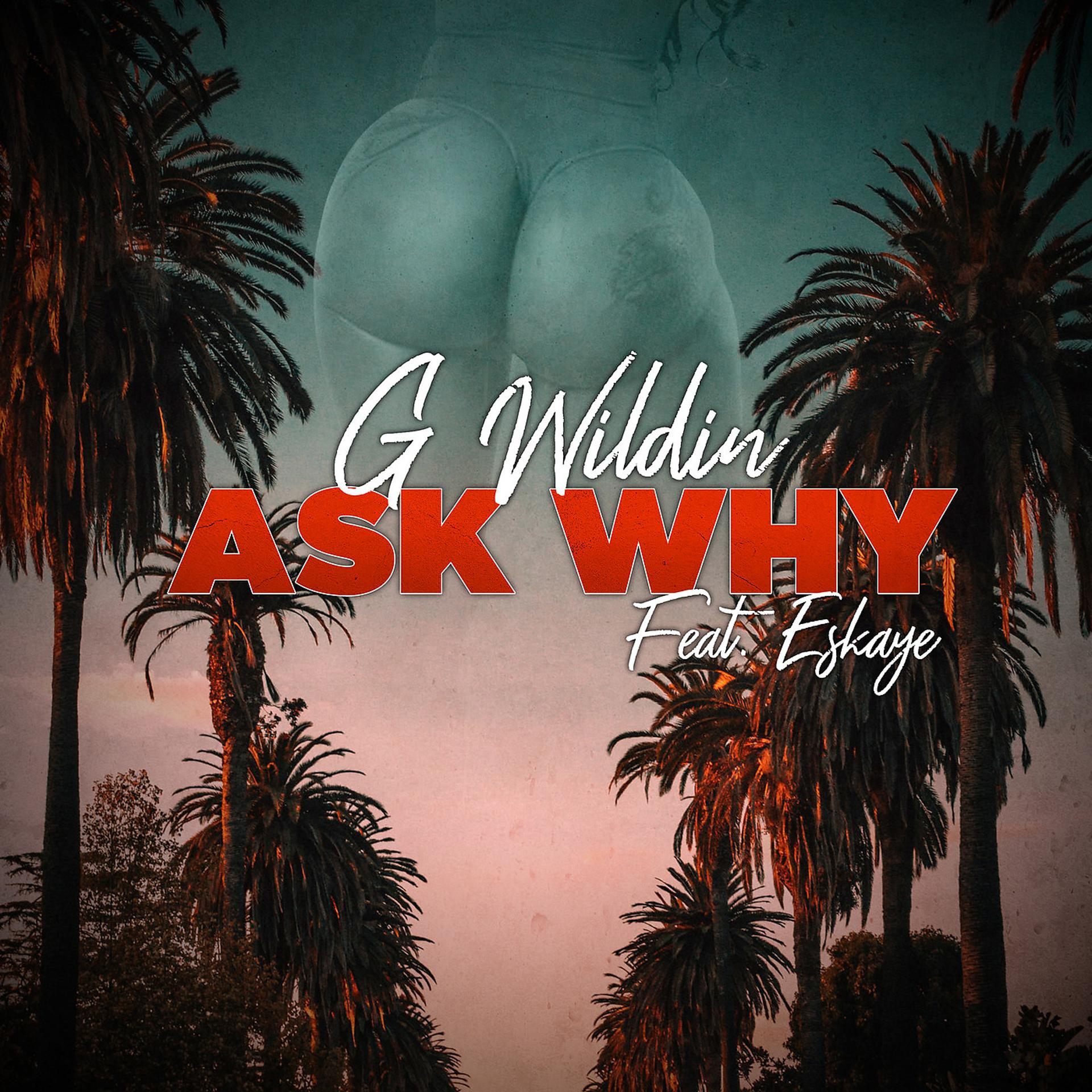 Постер альбома Why Ask Why