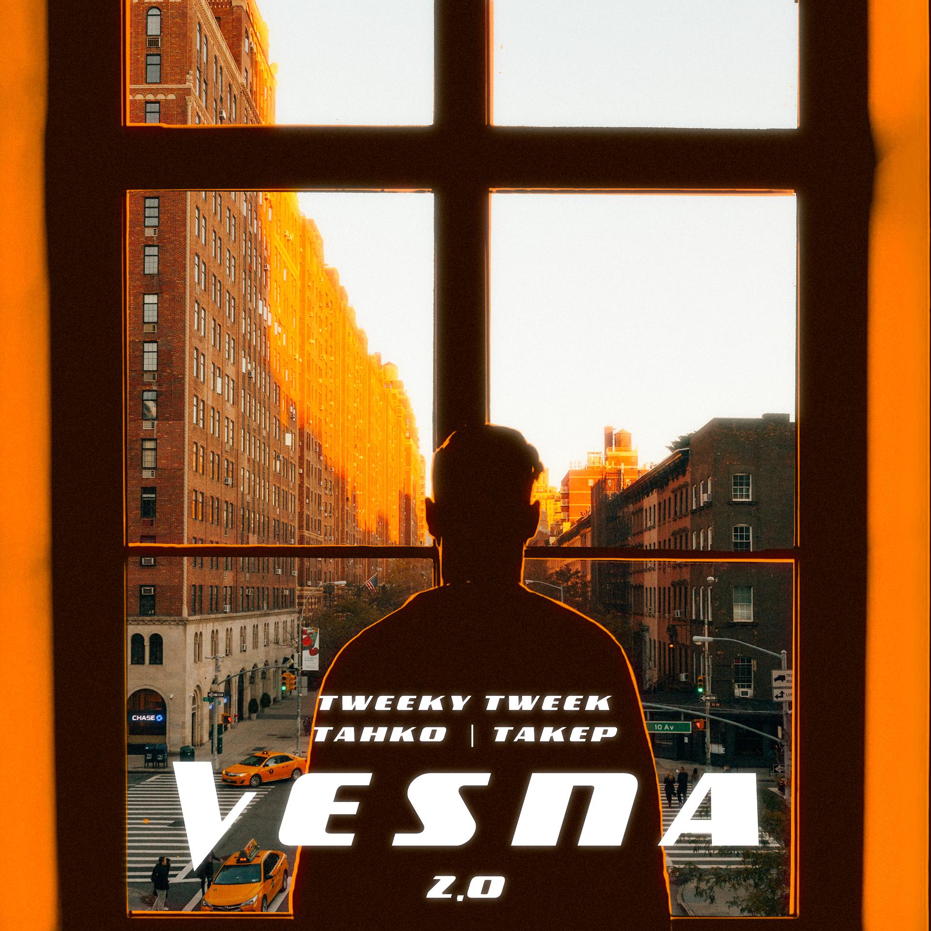 Постер альбома VESNA 2.0