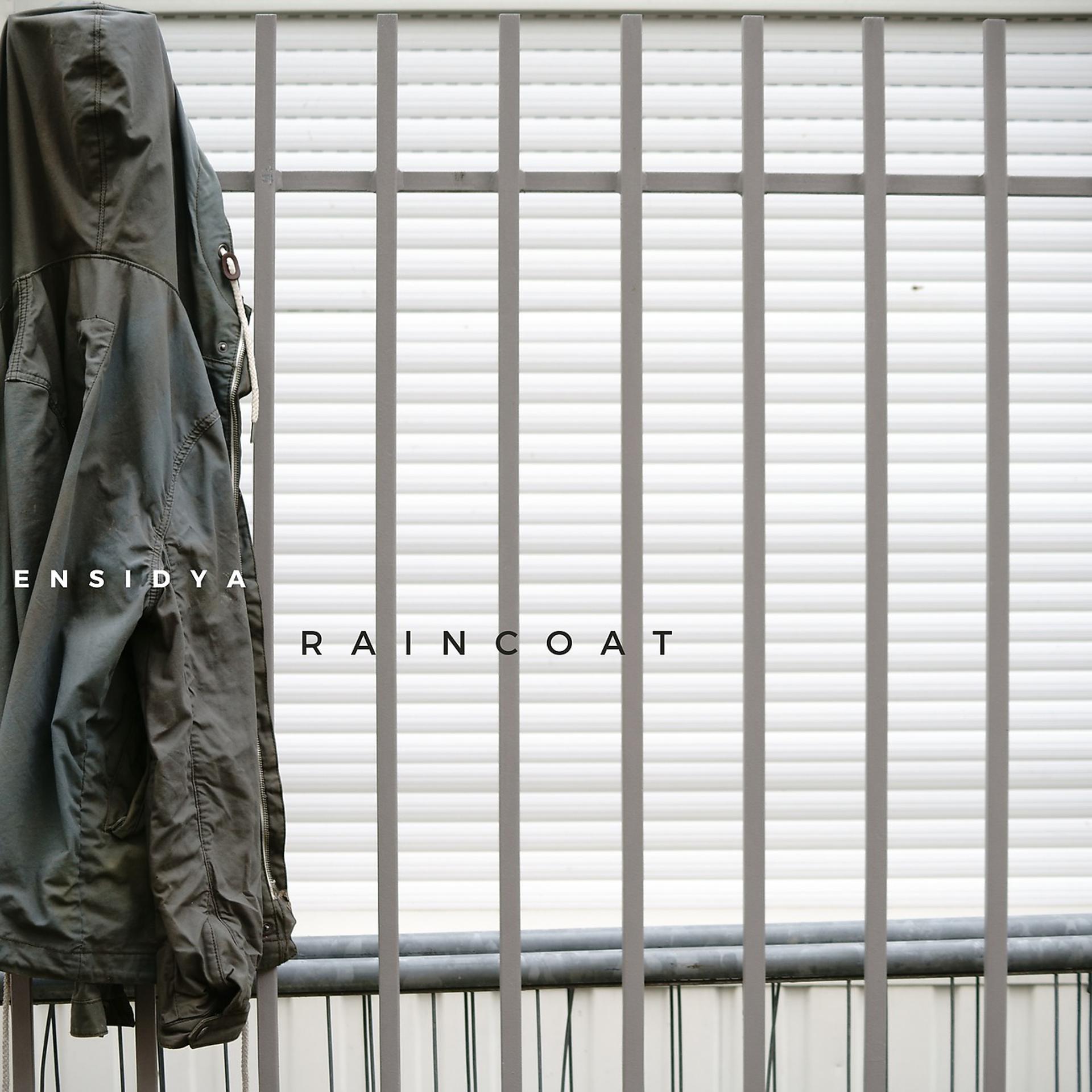 Постер альбома Raincoat