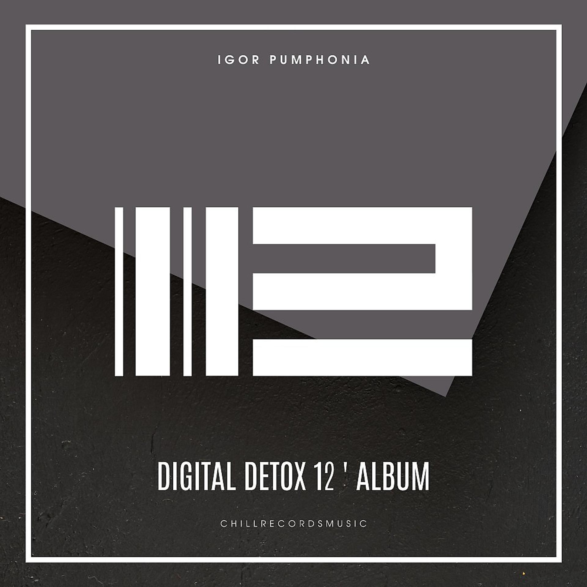 Постер альбома Digital Detox 12