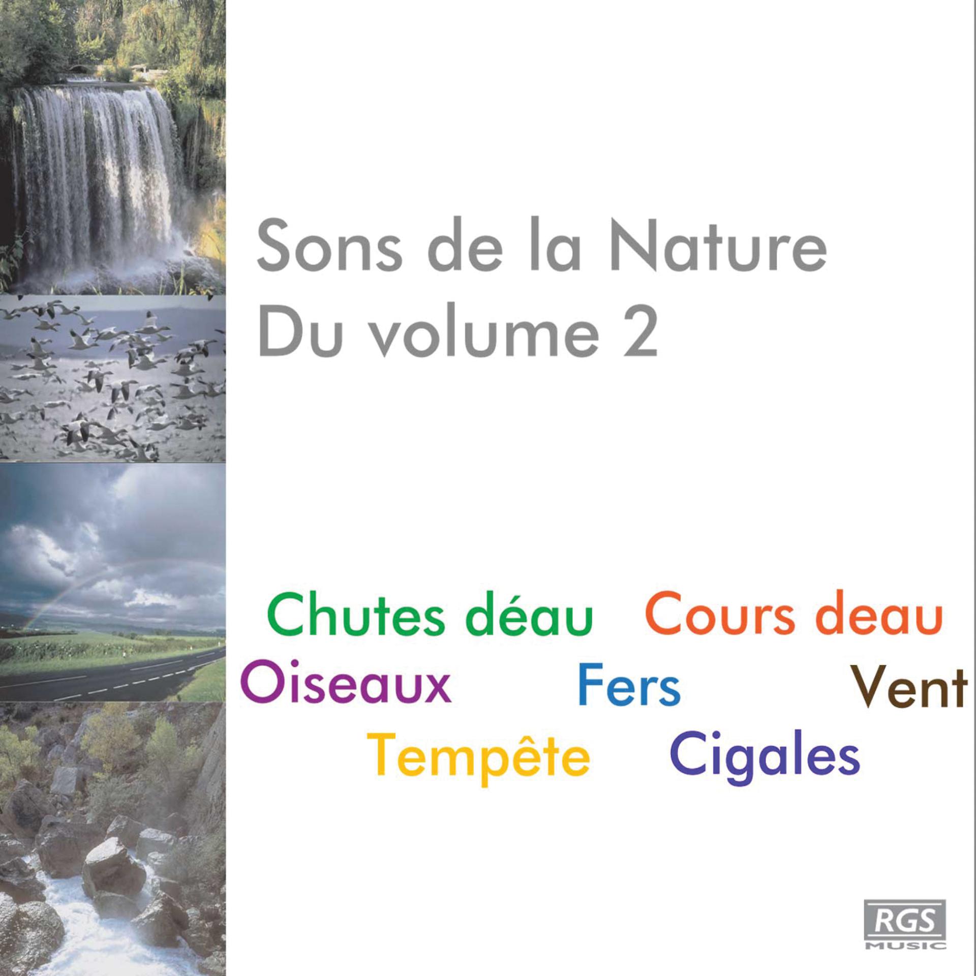 Постер альбома Sons De La Nature Du Volume 2