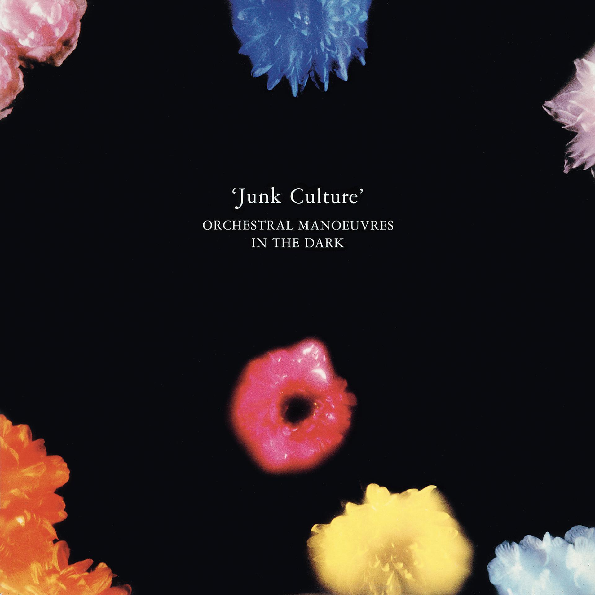 Постер альбома Junk Culture