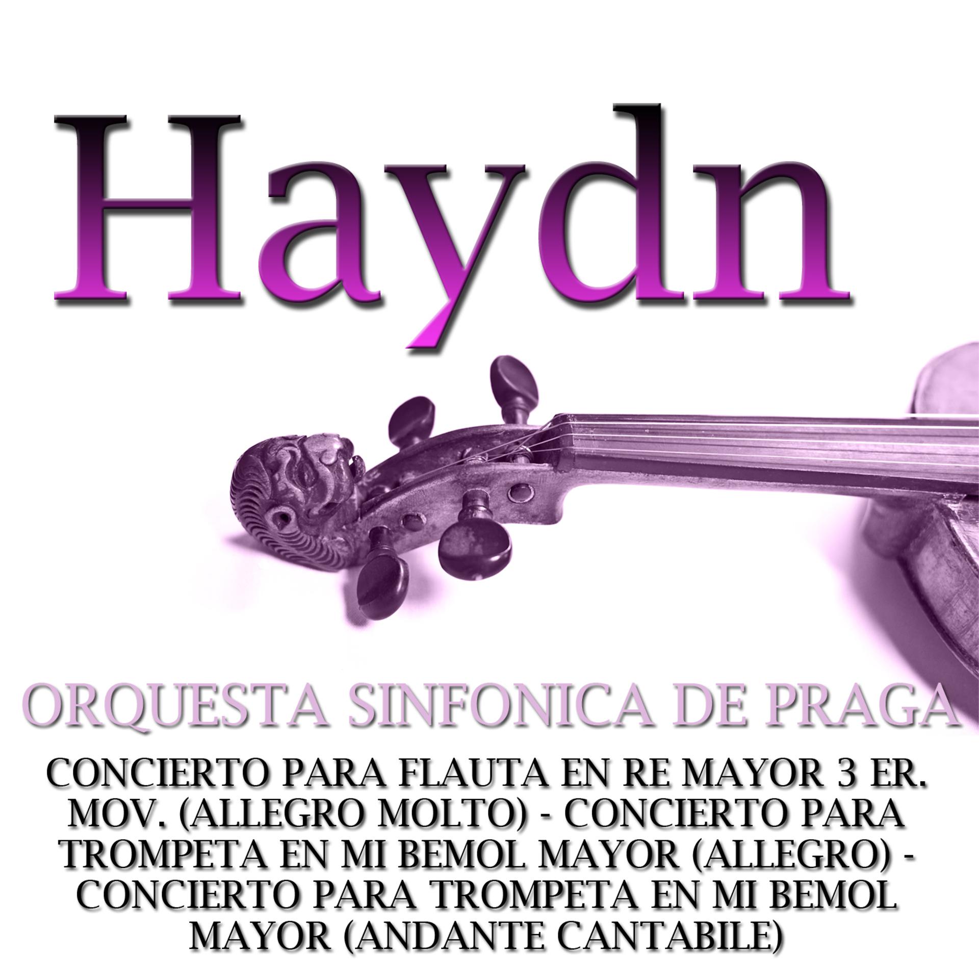 Постер альбома Clásica-Haydn