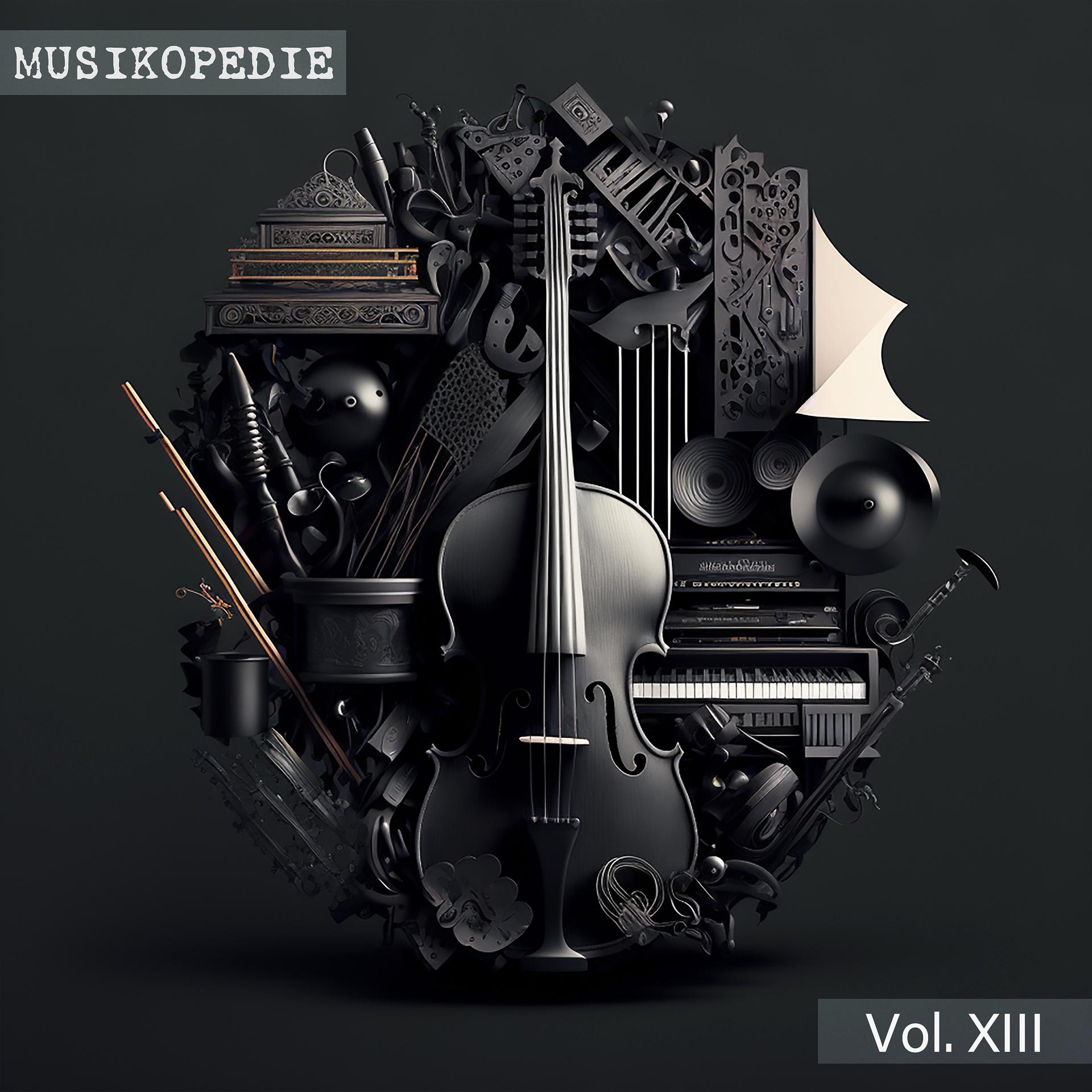 Постер альбома Musikopedie, Vol. XIII