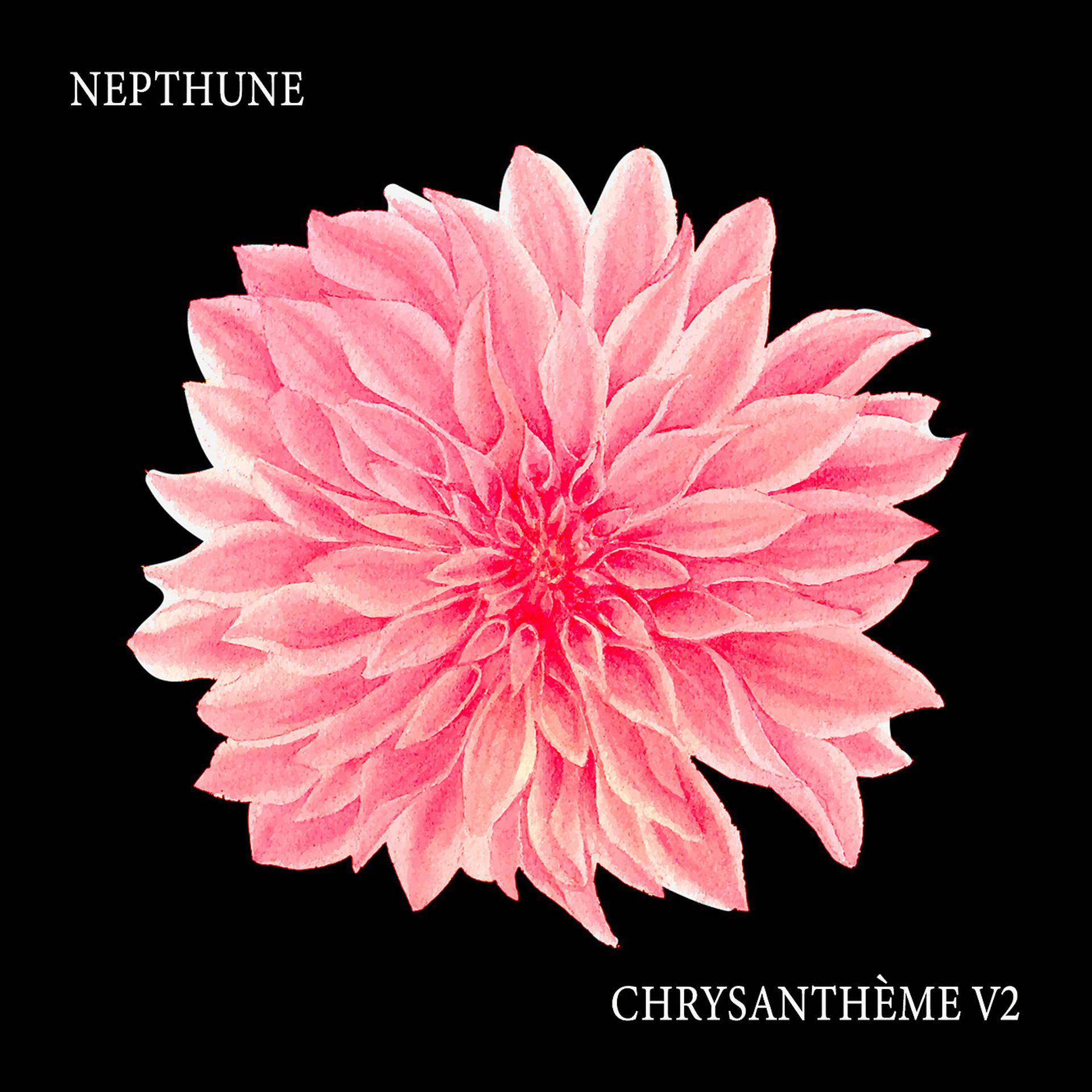 Постер альбома Chrysanthème V2