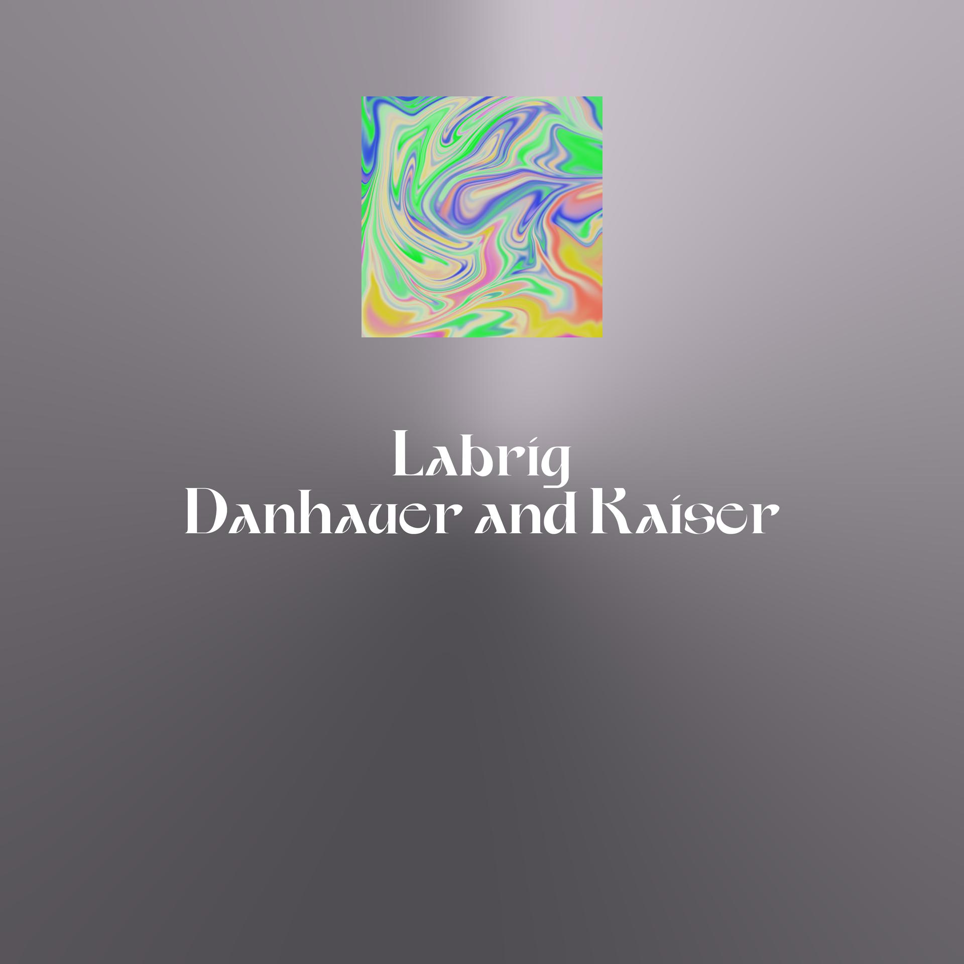 Постер альбома Danhauer and Kaiser