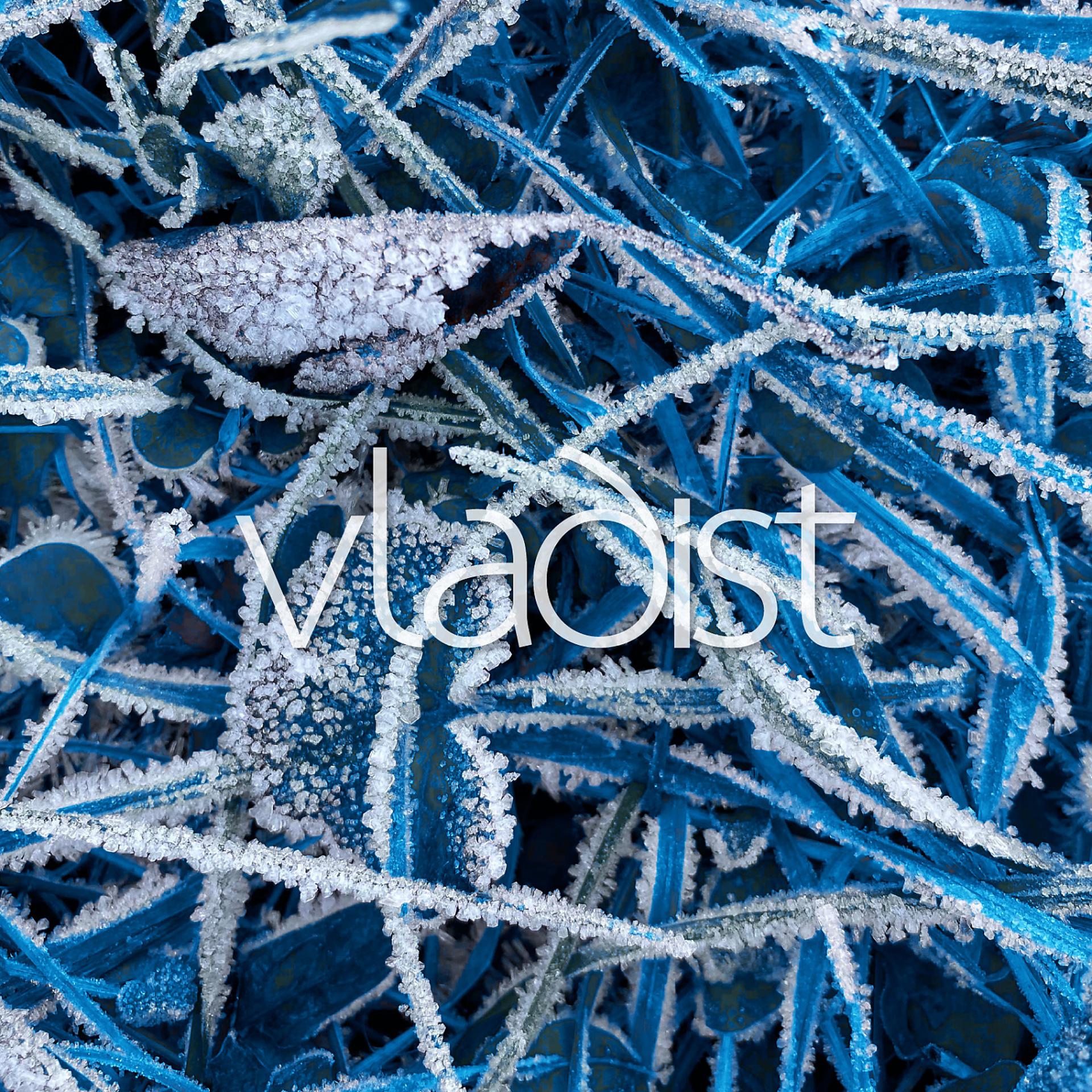 Постер альбома Frostbite
