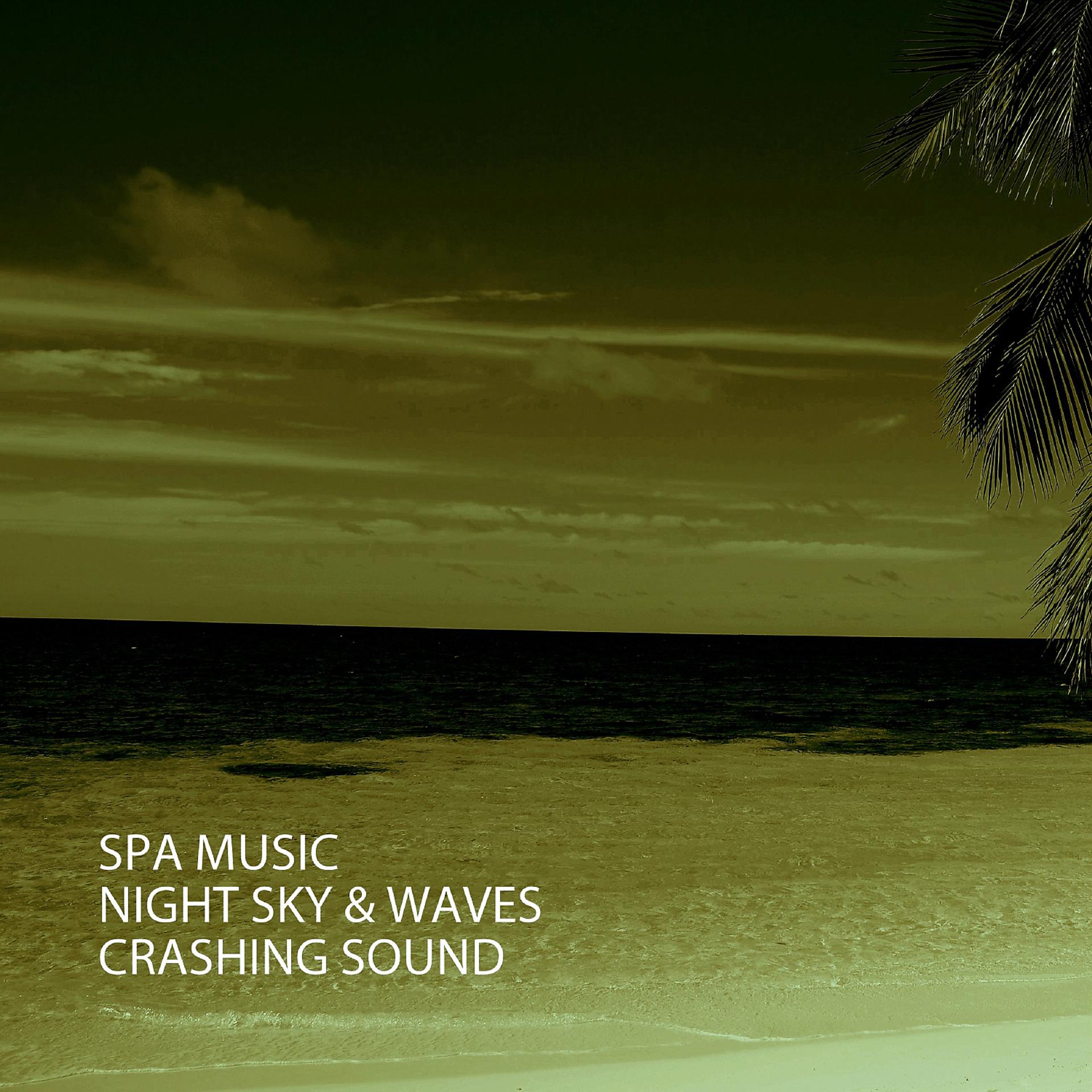 Постер альбома Spa Music: Night Sky & Waves Crashing Sound