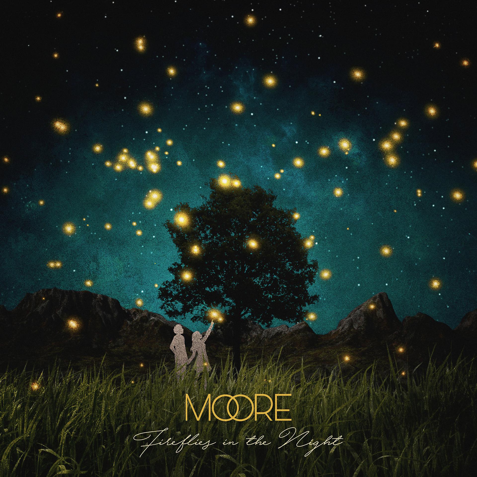 Постер альбома Fireflies in the Night