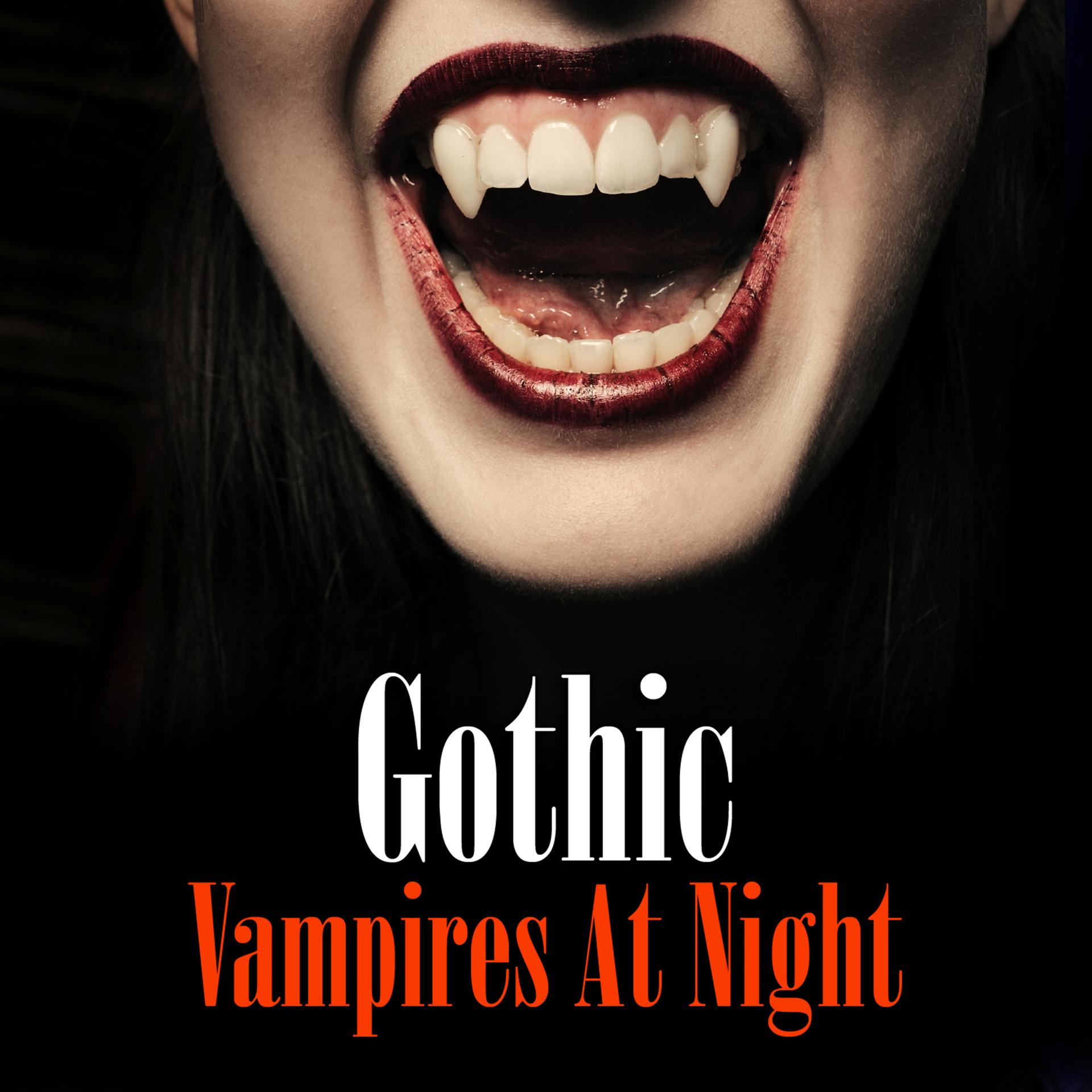 Постер альбома Gothic - Vampires at Night