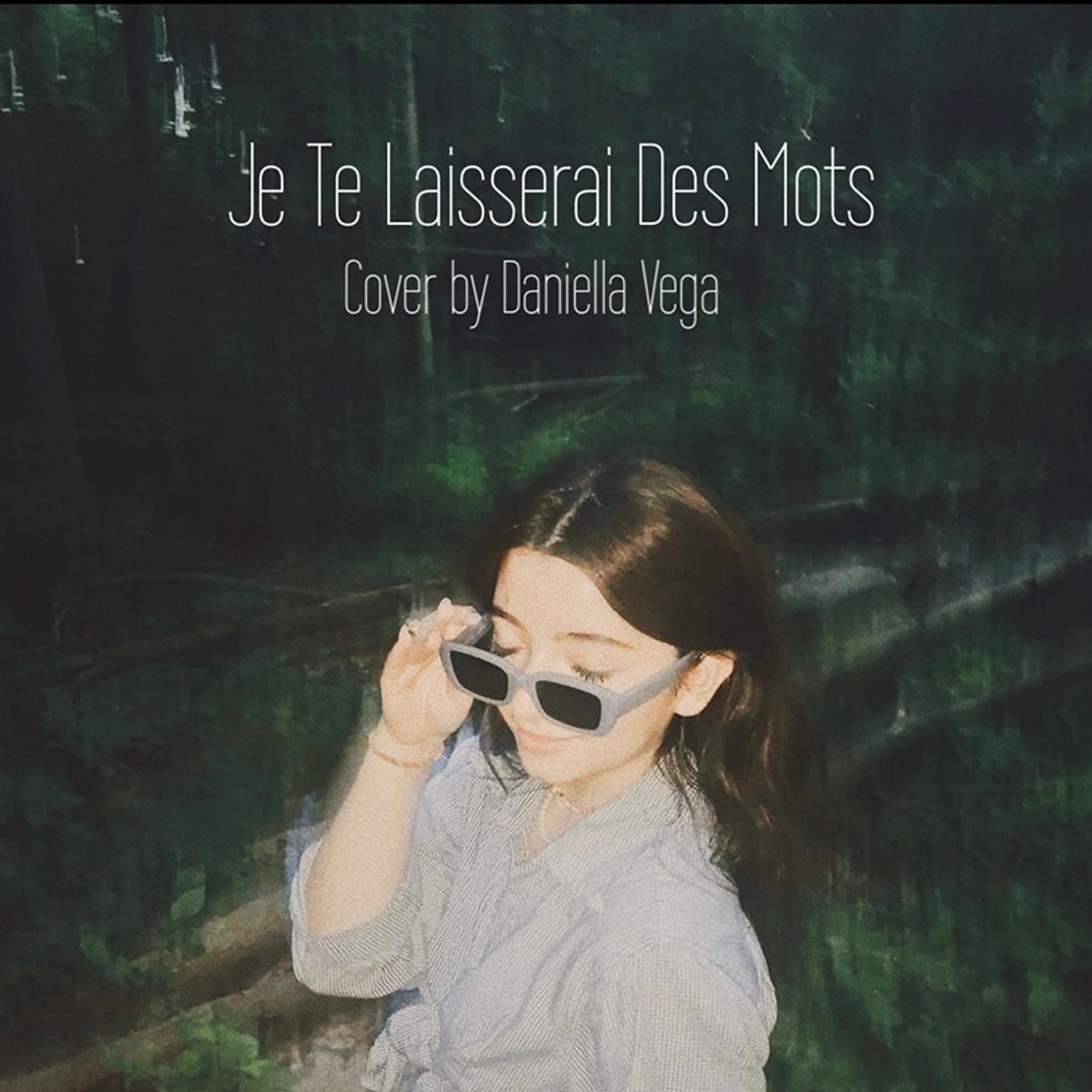 Постер альбома Je Te Laisserai Des Mots (Cover)