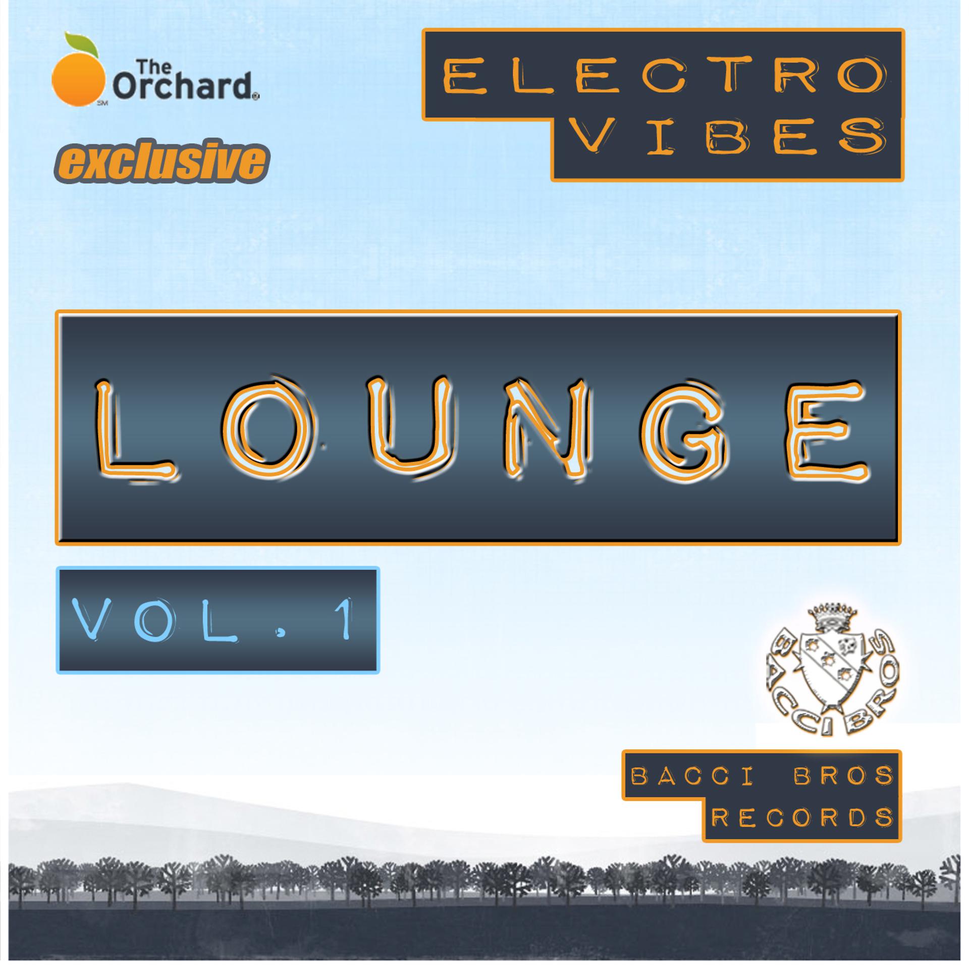 Постер альбома Electro Vibes Lounge, Vol. 1