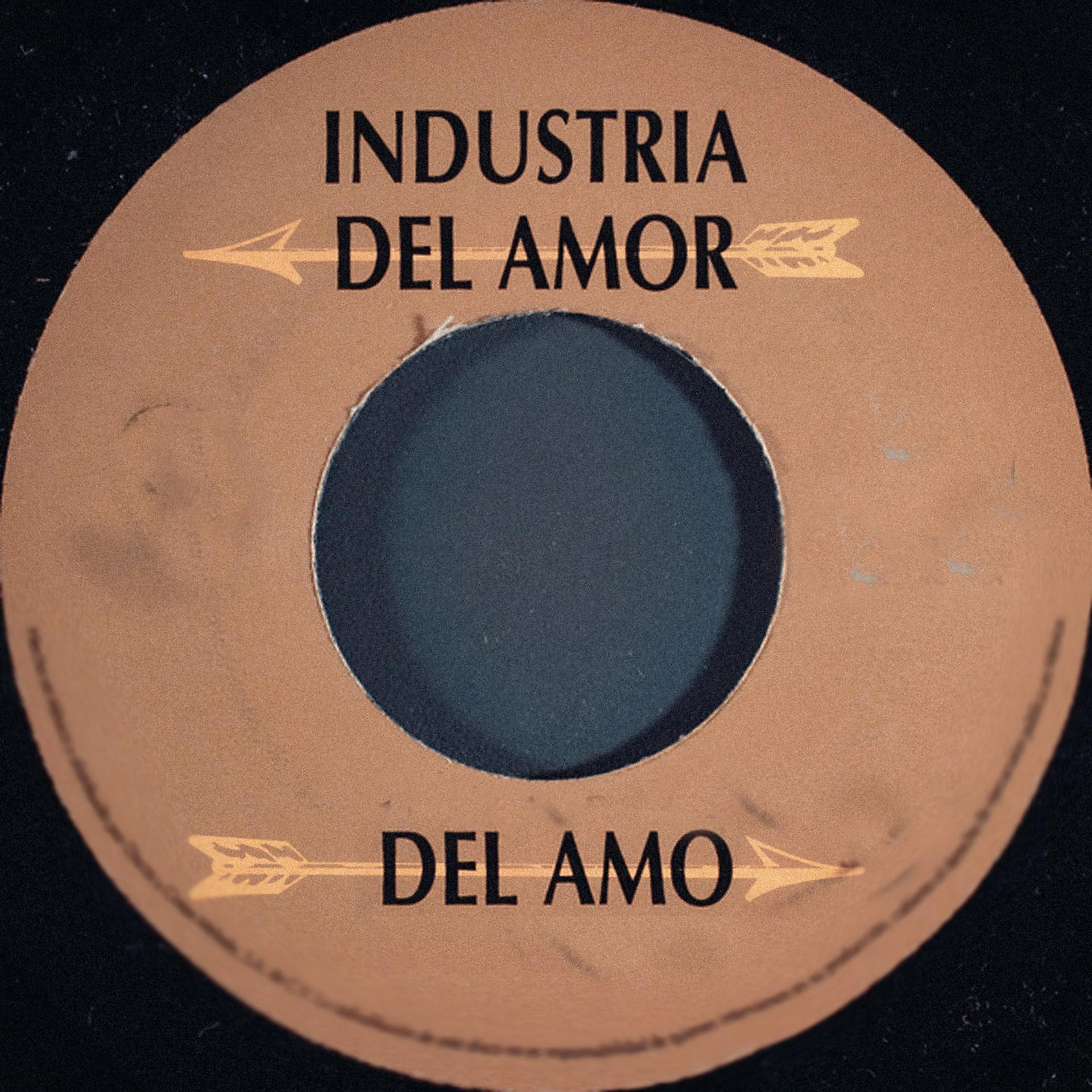 Постер альбома Del Amo