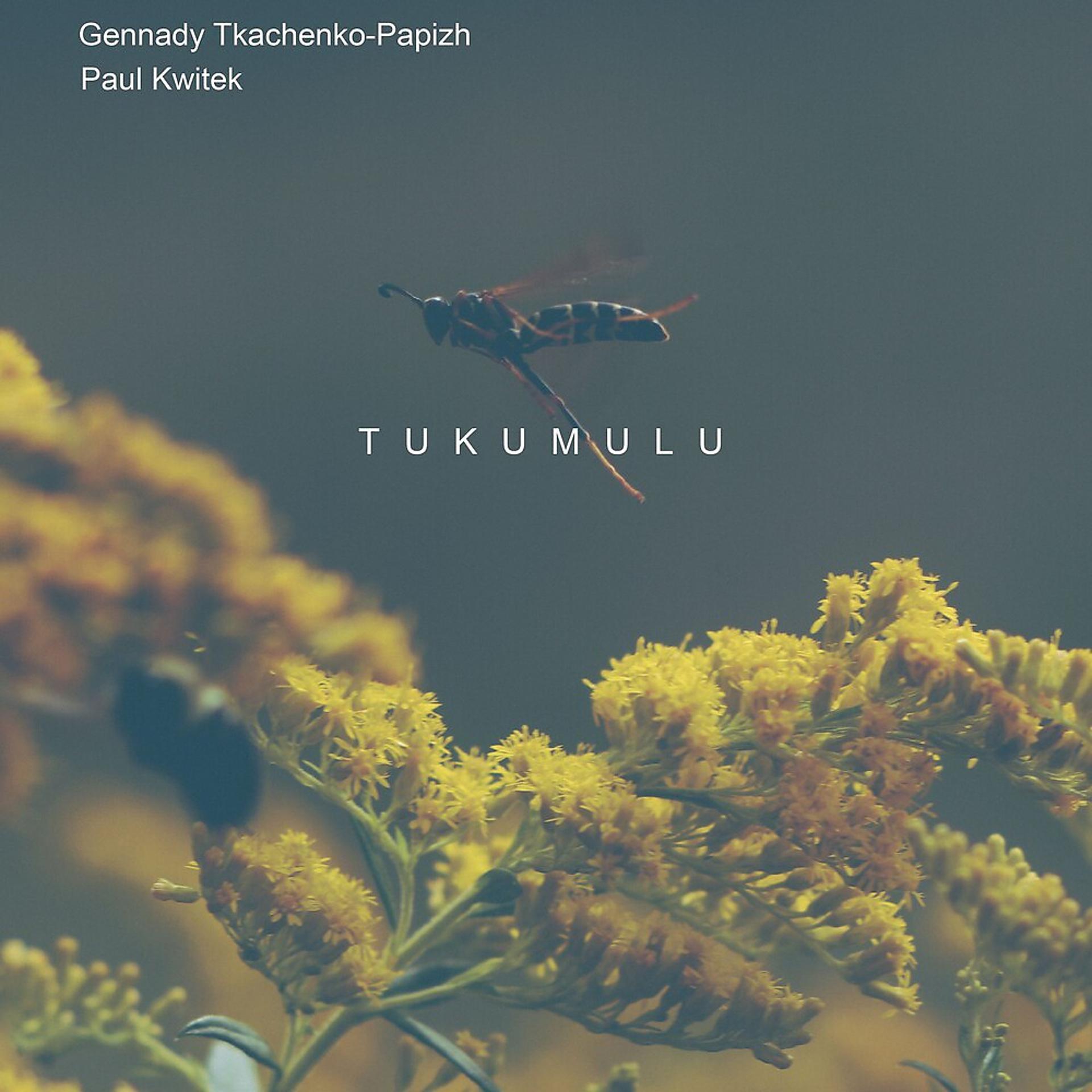 Постер альбома Tukumulu