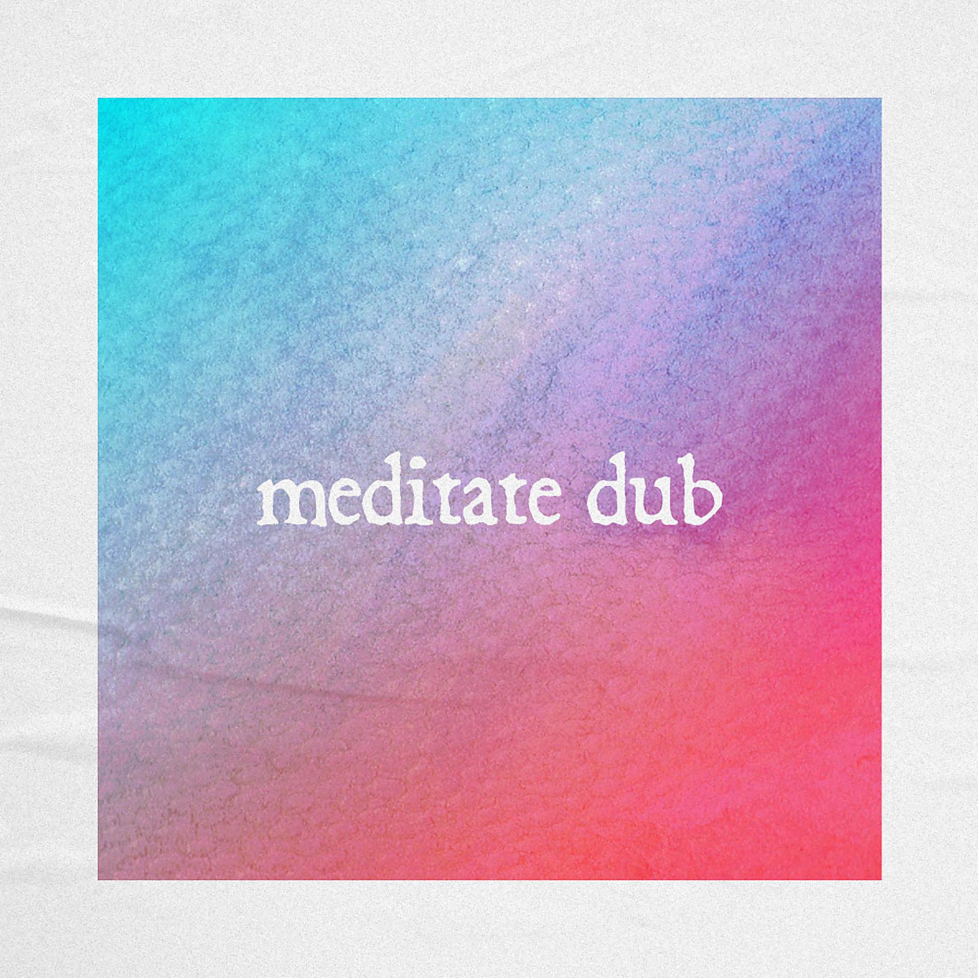 Постер альбома Meditate Dub